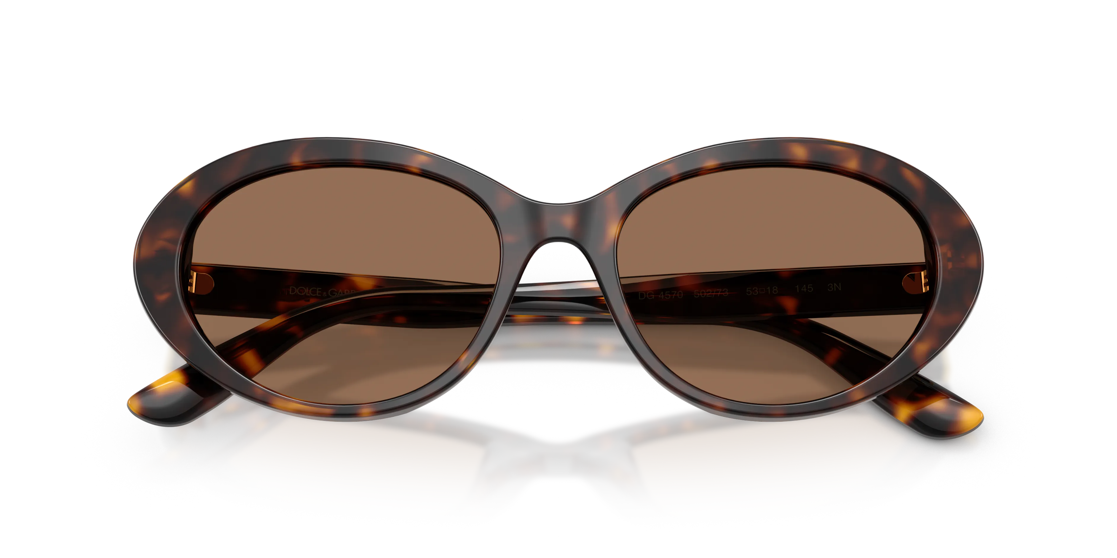 Dolce & Gabbana DG4570 502/73 Occhiali da sole Acetato Tartaruga Marrone Rotonda Normale - immagine 2