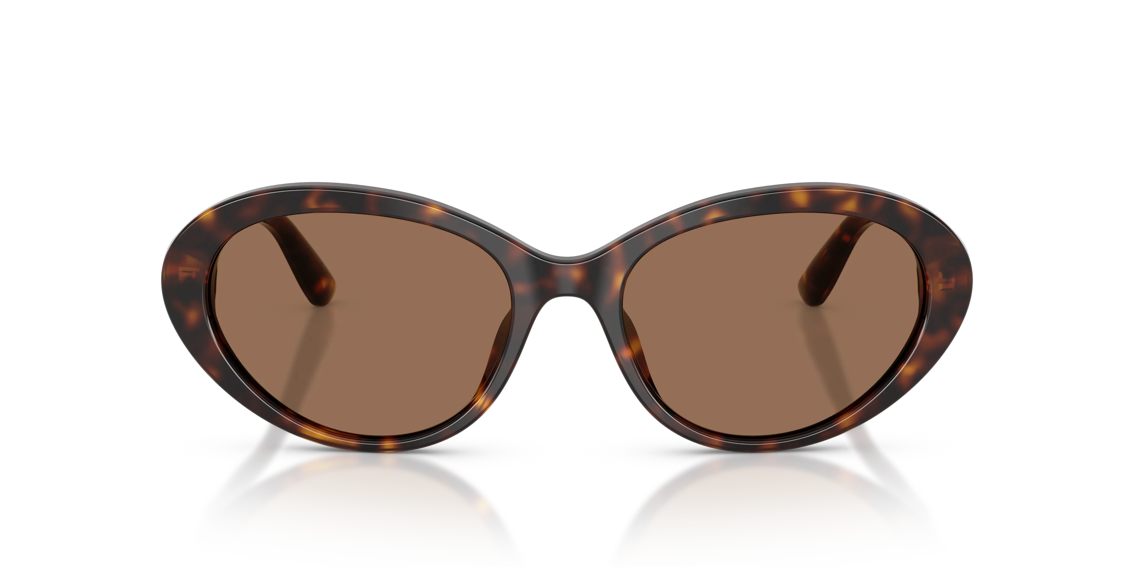 Dolce & Gabbana DG4570 502/73 Occhiali da sole Acetato Tartaruga Marrone Rotonda Normale - immagine 3