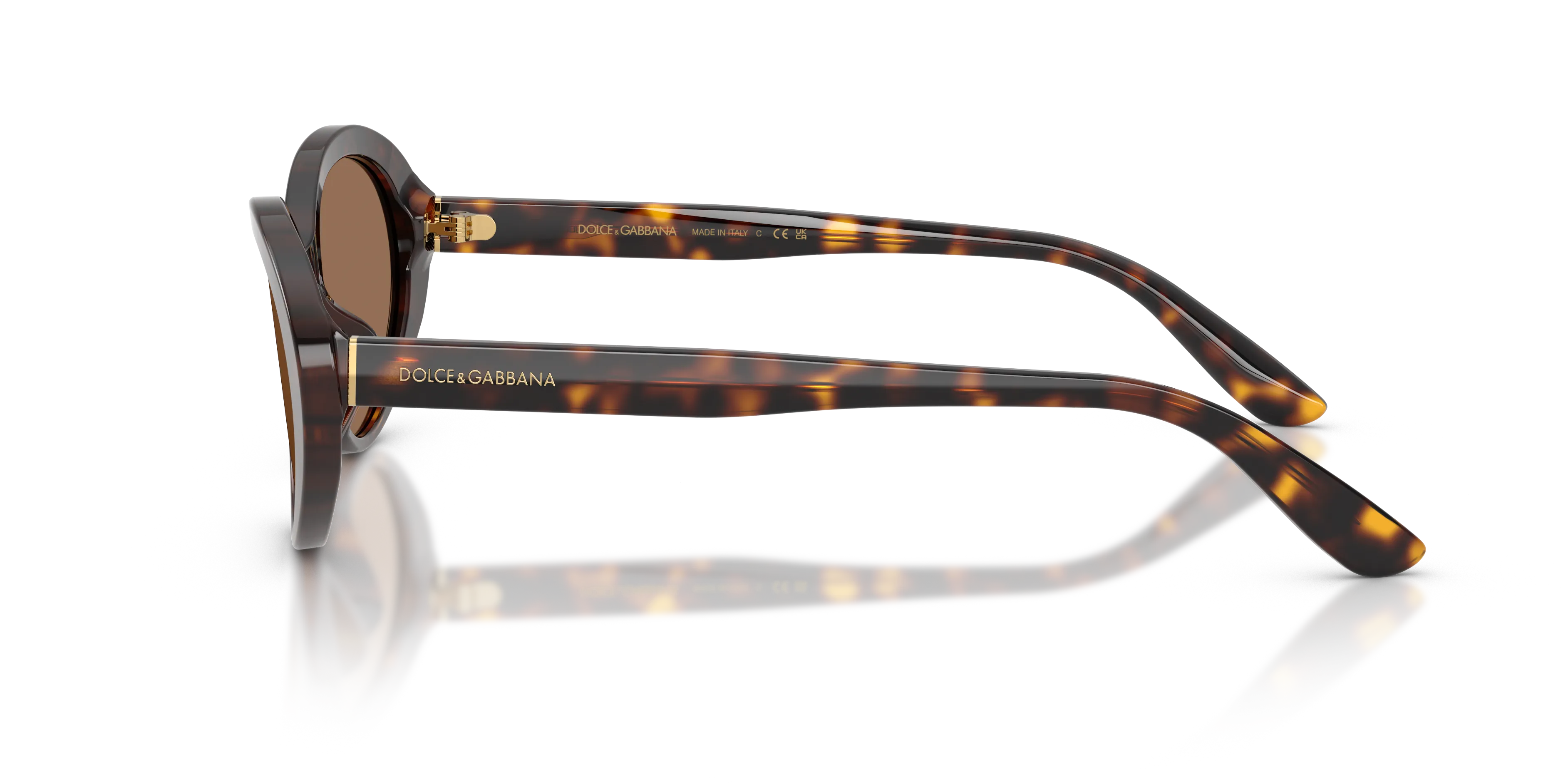 Dolce & Gabbana DG4570 502/73 Occhiali da sole Acetato Tartaruga Marrone Rotonda Normale - immagine 4