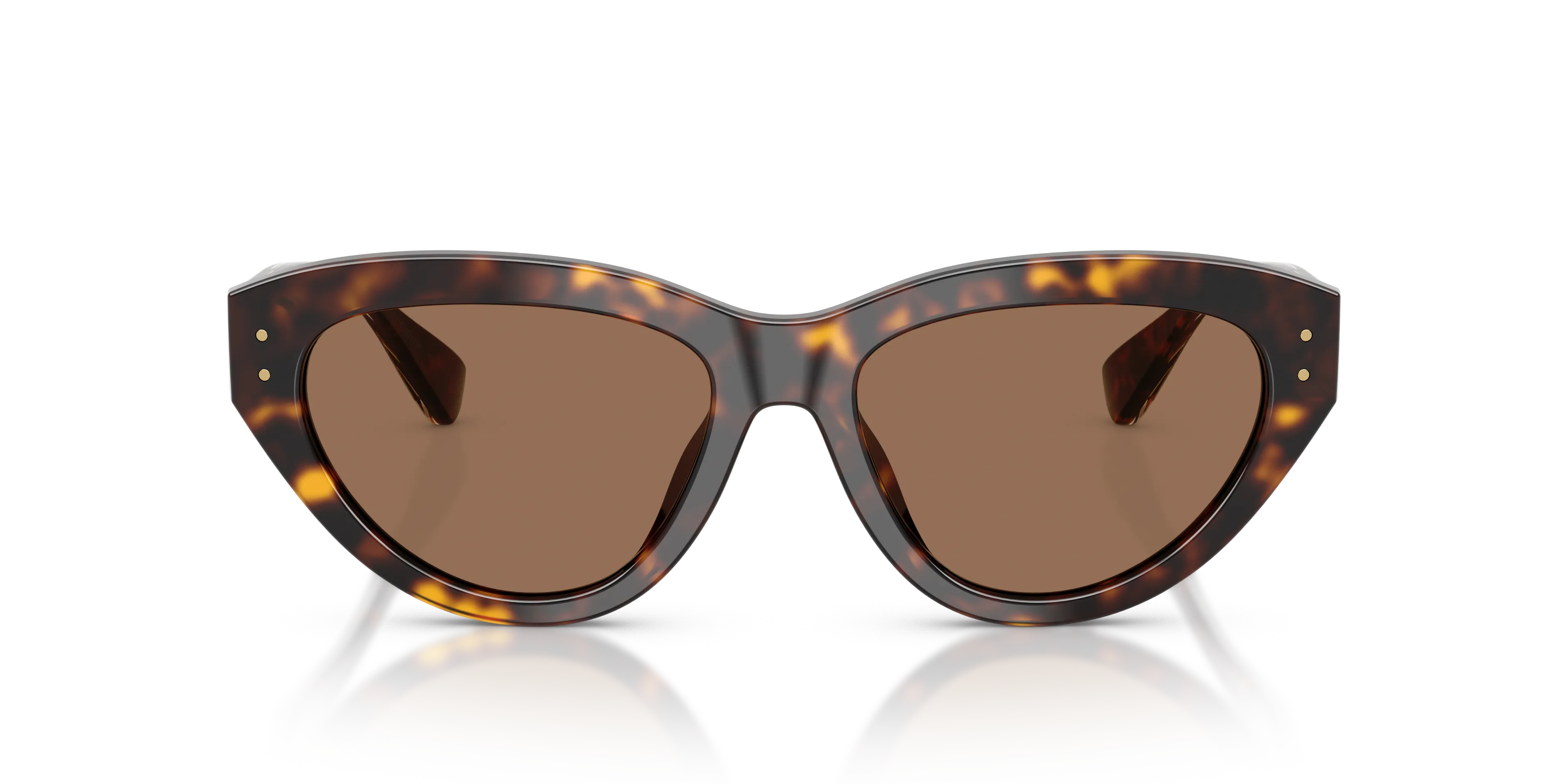 Dolce & Gabbana DG4558 502/73 Occhiali da sole Acetato Tartaruga Marrone Farfalla Normale - immagine 3