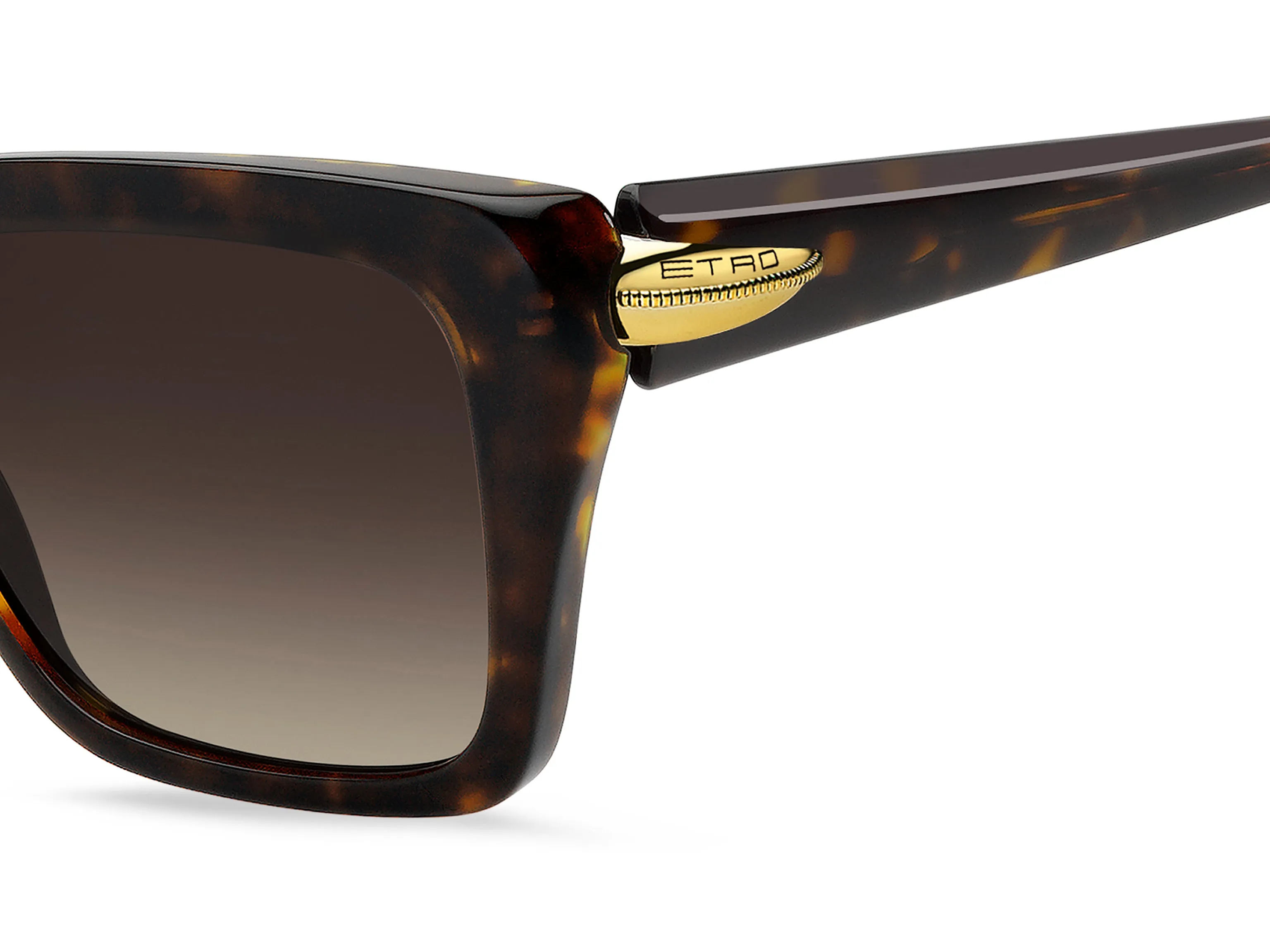 ETRO ETRO ETRO 0151/S 086/HA Occhiali da sole - immagine 4