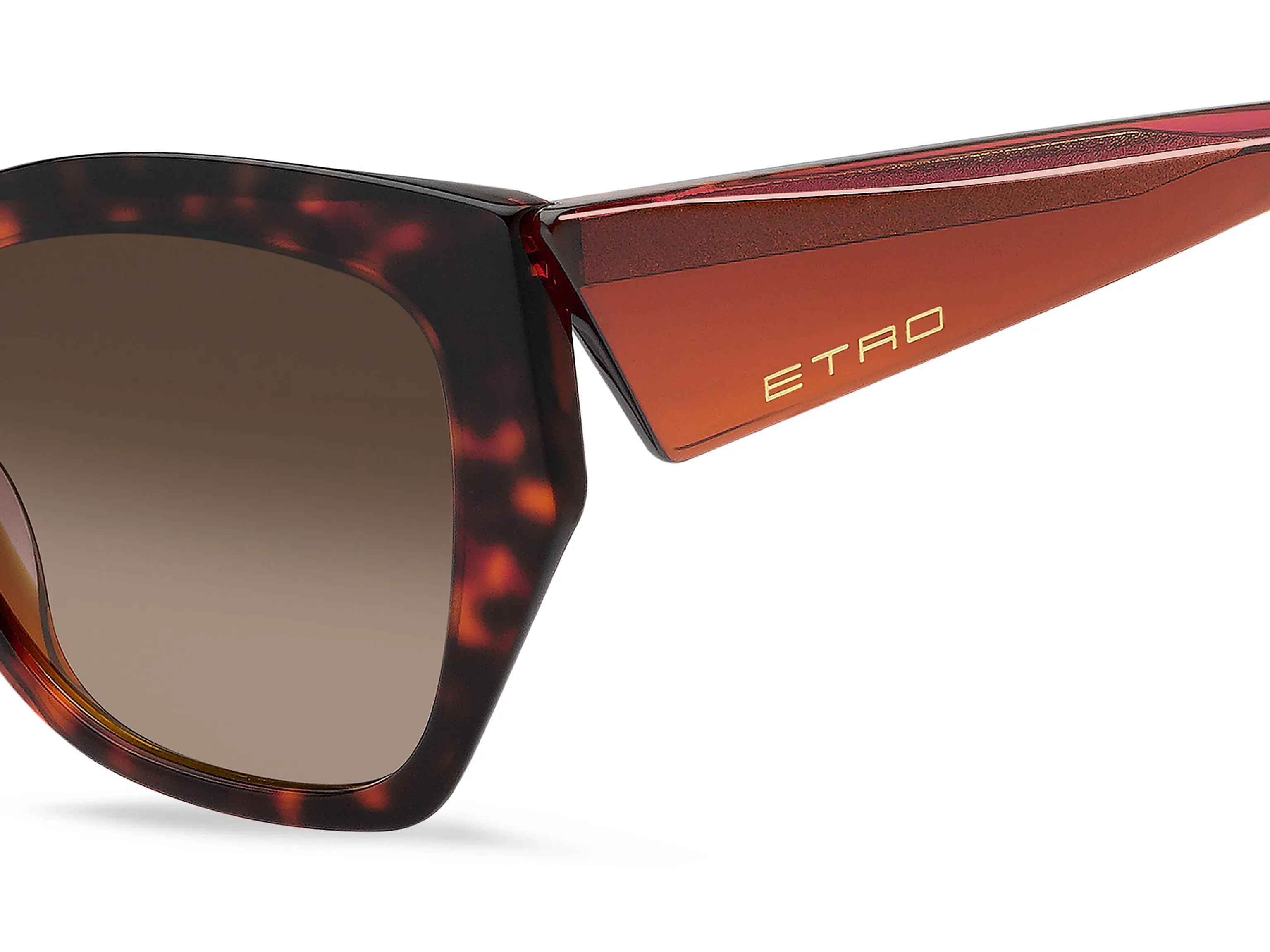ETRO ETRO ETRO 0143/S L9G/HA Occhiali da sole - immagine 3