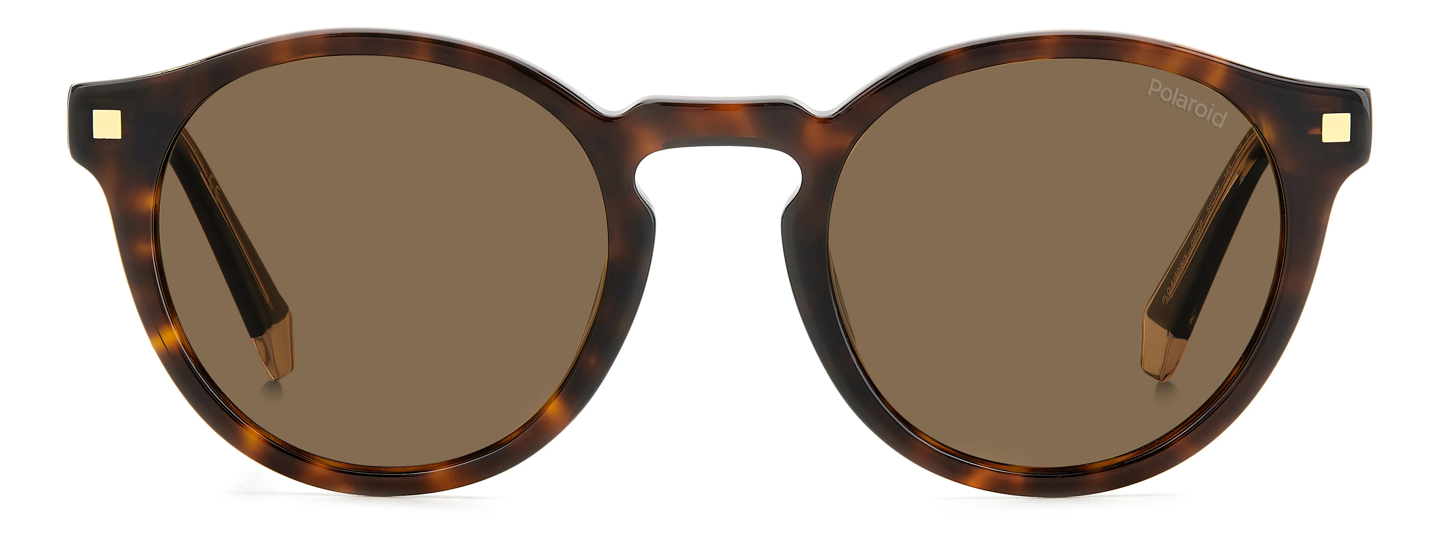 Polaroid PLD 4150/S/X 086/SP Occhiali da sole Acetato Havana Marrone Rotonda Polarizzata - immagine 2