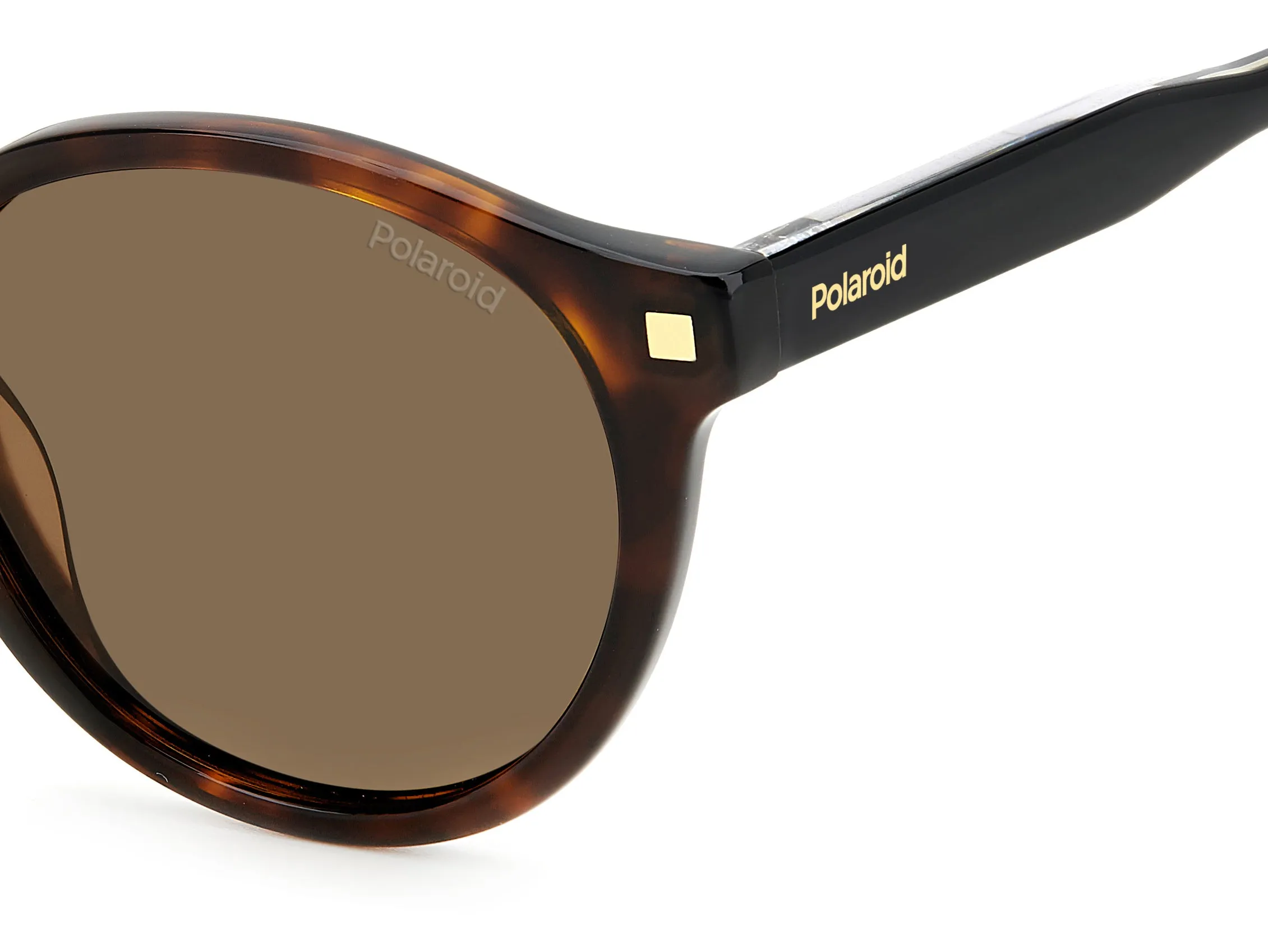 Polaroid PLD 4150/S/X 086/SP Occhiali da sole Acetato Havana Marrone Rotonda Polarizzata - immagine 4