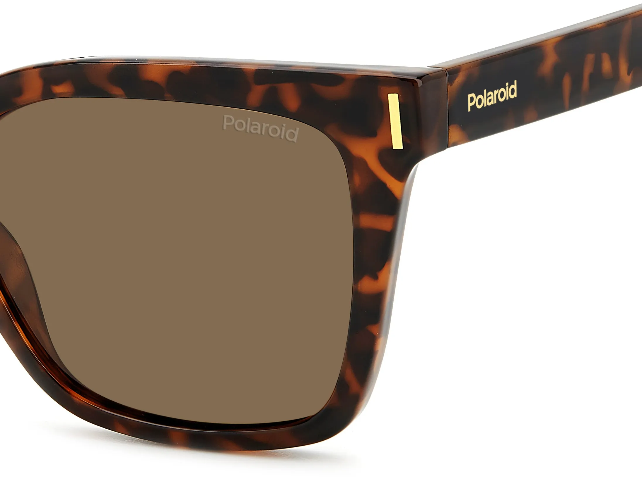 Polaroid PLD 6192/S 086/SP Occhiali da sole Plastica Havana Marrone Squadrata Polarizzata - immagine 4