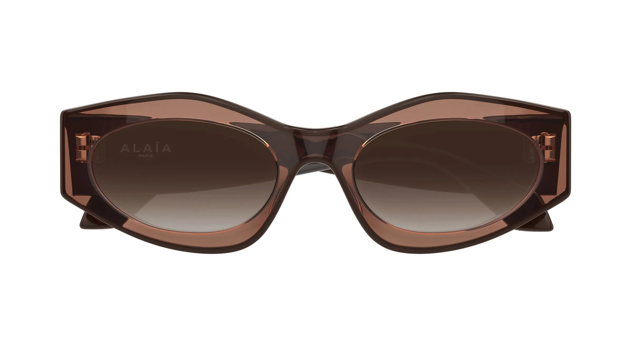 AZZEDINE ALAÏA AA0093S 002 Occhiali da sole Acetato Marrone Marrone Cat Eye - immagine 2