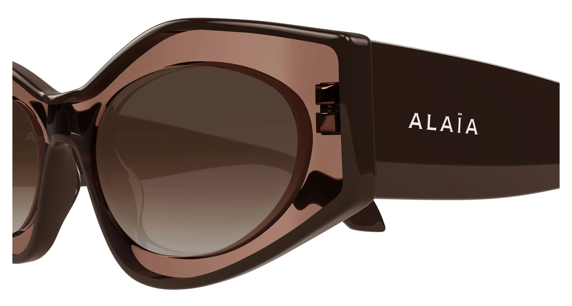 AZZEDINE ALAÏA AA0093S 002 Occhiali da sole Acetato Marrone Marrone Cat Eye - immagine 3