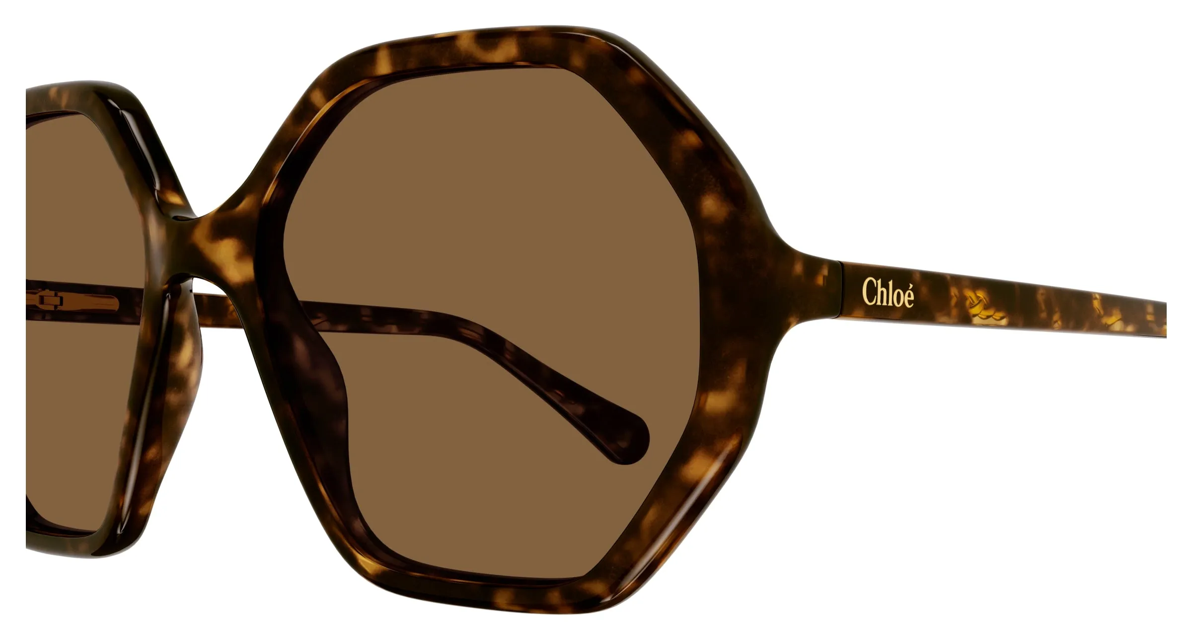 Chloé CC0004S 008 Occhiali da sole Acetato Havana Marrone Geometrica - immagine 3