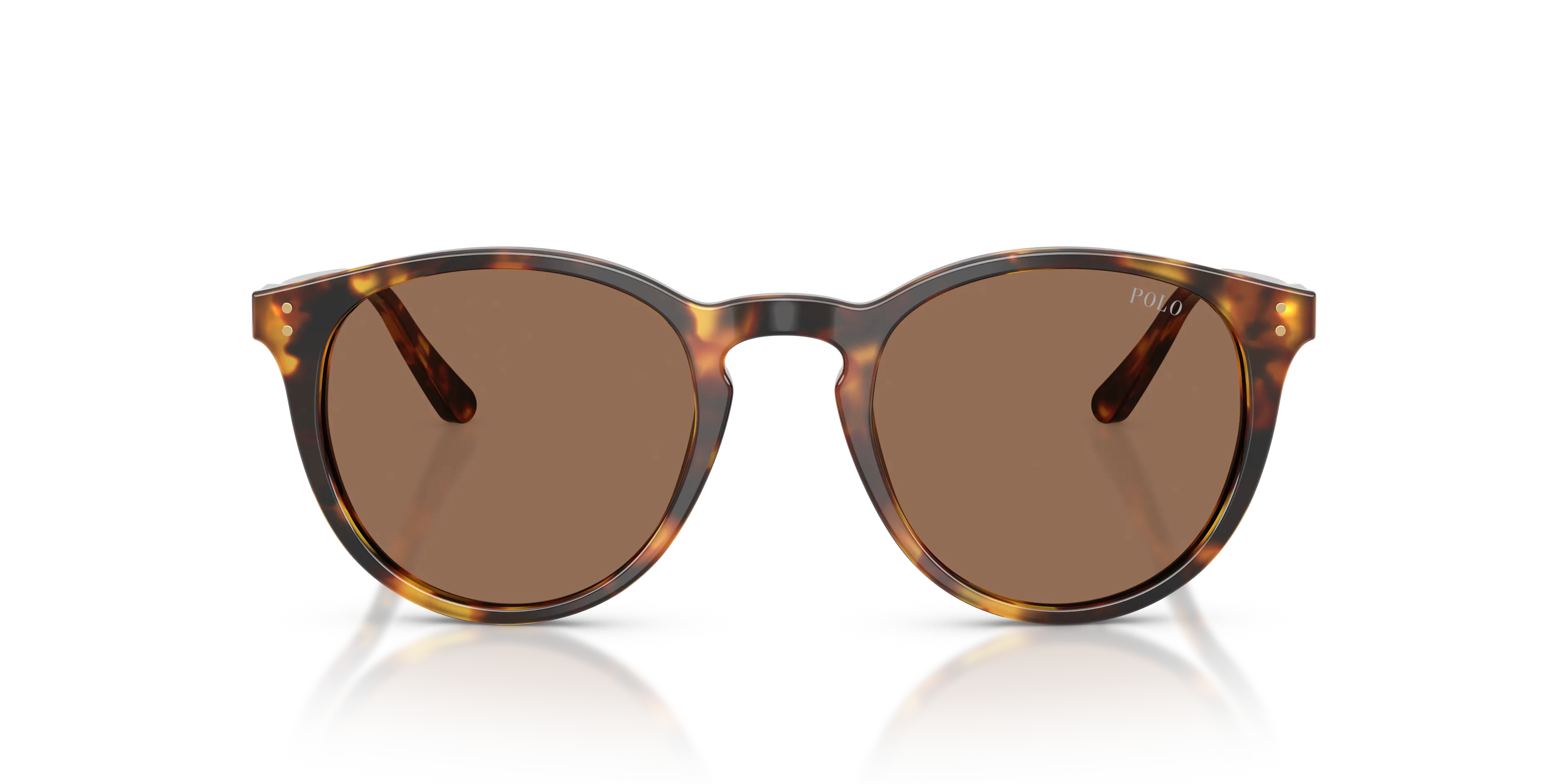 Polo Ralph Lauren PH4110 513473 Occhiali da sole Acetato Tartaruga Marrone Pantos Normale - immagine 3