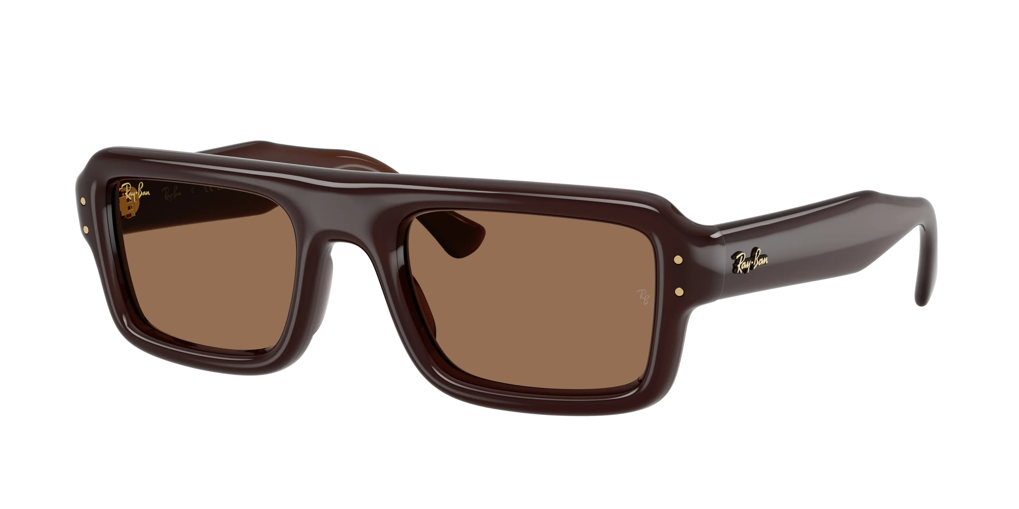 Ray - Ban RB4954 689673 Occhiali da sole Nylon Marrone Marrone Pilot Normale - immagine 1