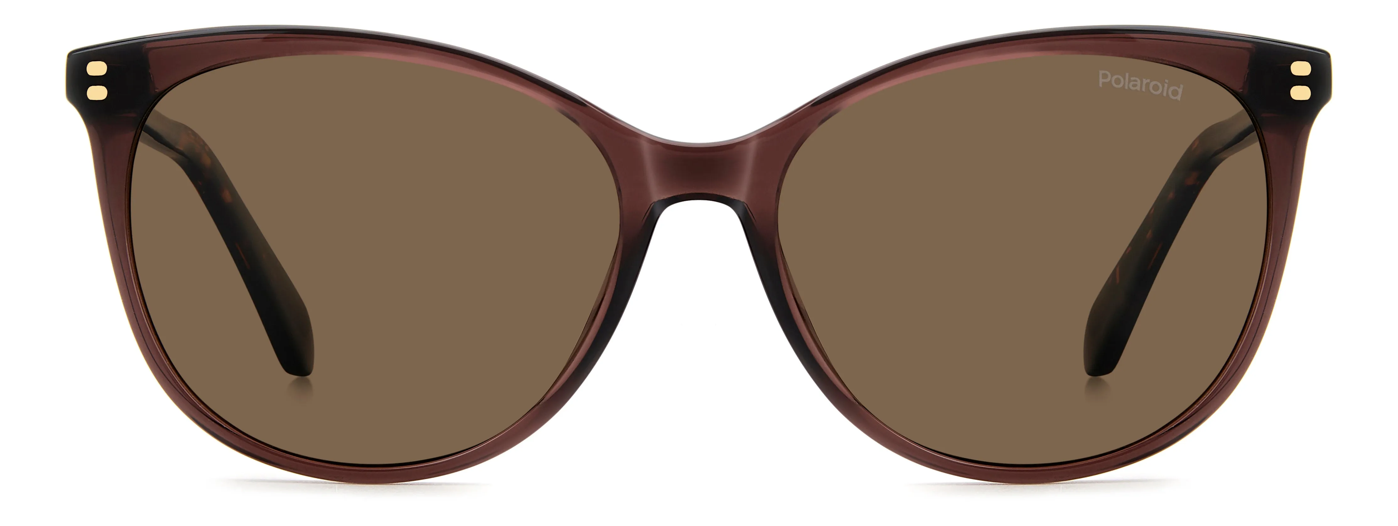 Polaroid PLD 4200/S/X 09Q/SP Occhiali da sole Acetato Marrone Marrone Cat Eye Polarizzata - immagine 2