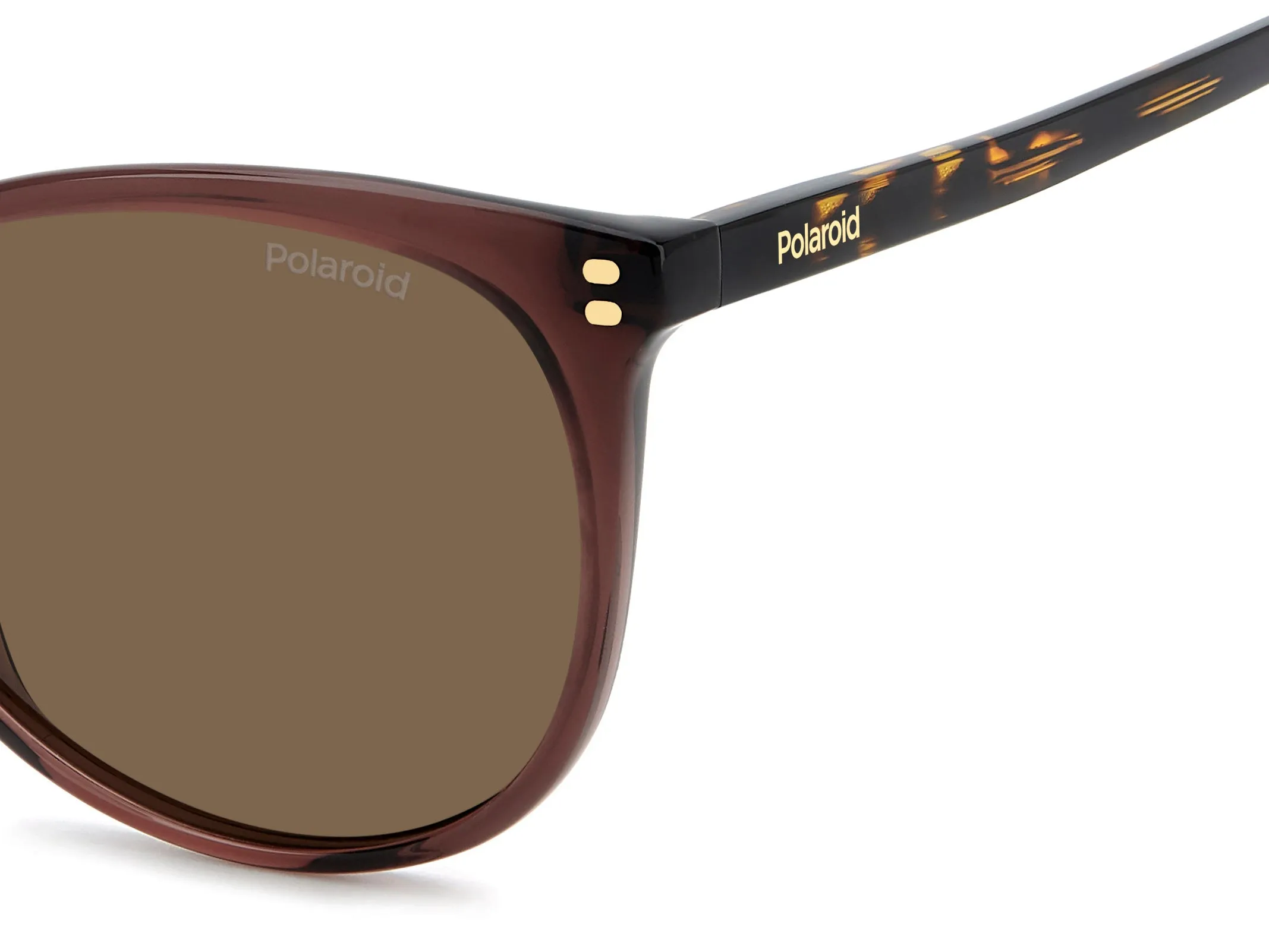 Polaroid PLD 4200/S/X 09Q/SP Occhiali da sole Acetato Marrone Marrone Cat Eye Polarizzata - immagine 4