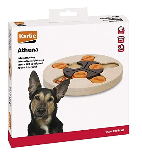 Wooden Brain Train ATHENA-25CM - immagine 2