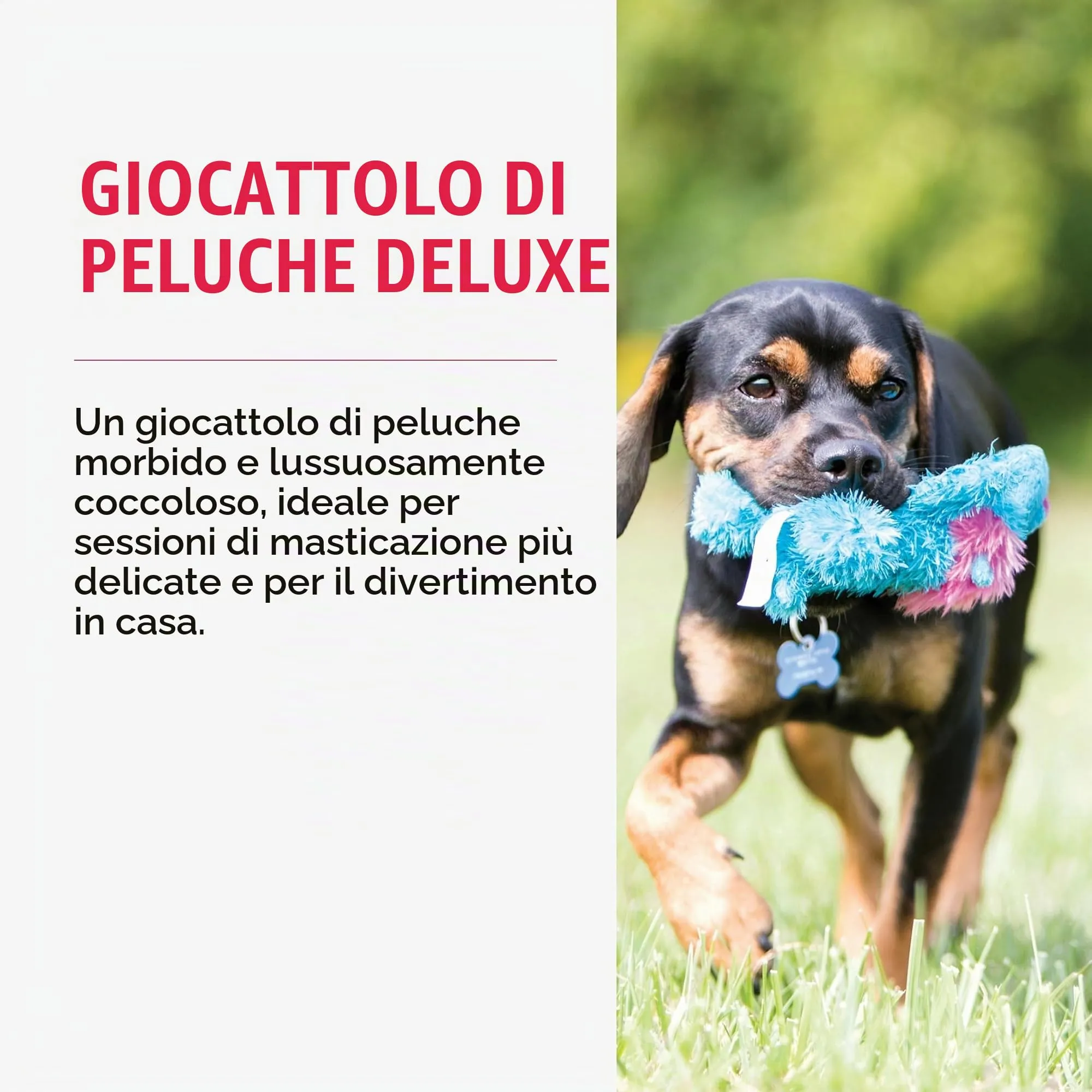 KONG - Cozie Marvin Moose - Gioco di Peluche per Cani Morbido, con Squeak, per Interni - per Cani di Taglia Extra-Grande - immagine 3
