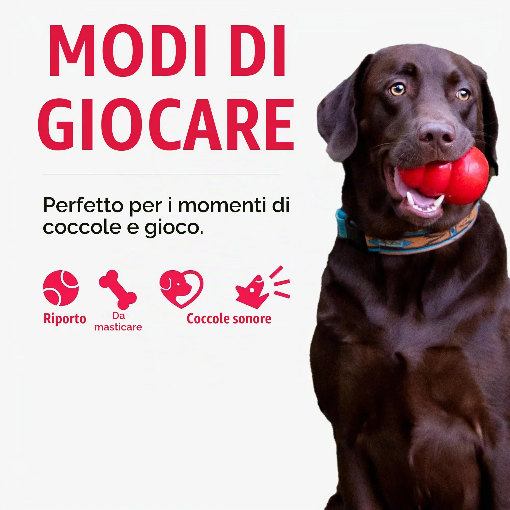 KONG - Cozie Marvin Moose - Gioco di Peluche per Cani Morbido, con Squeak, per Interni - per Cani di Taglia Extra-Grande - immagine 5