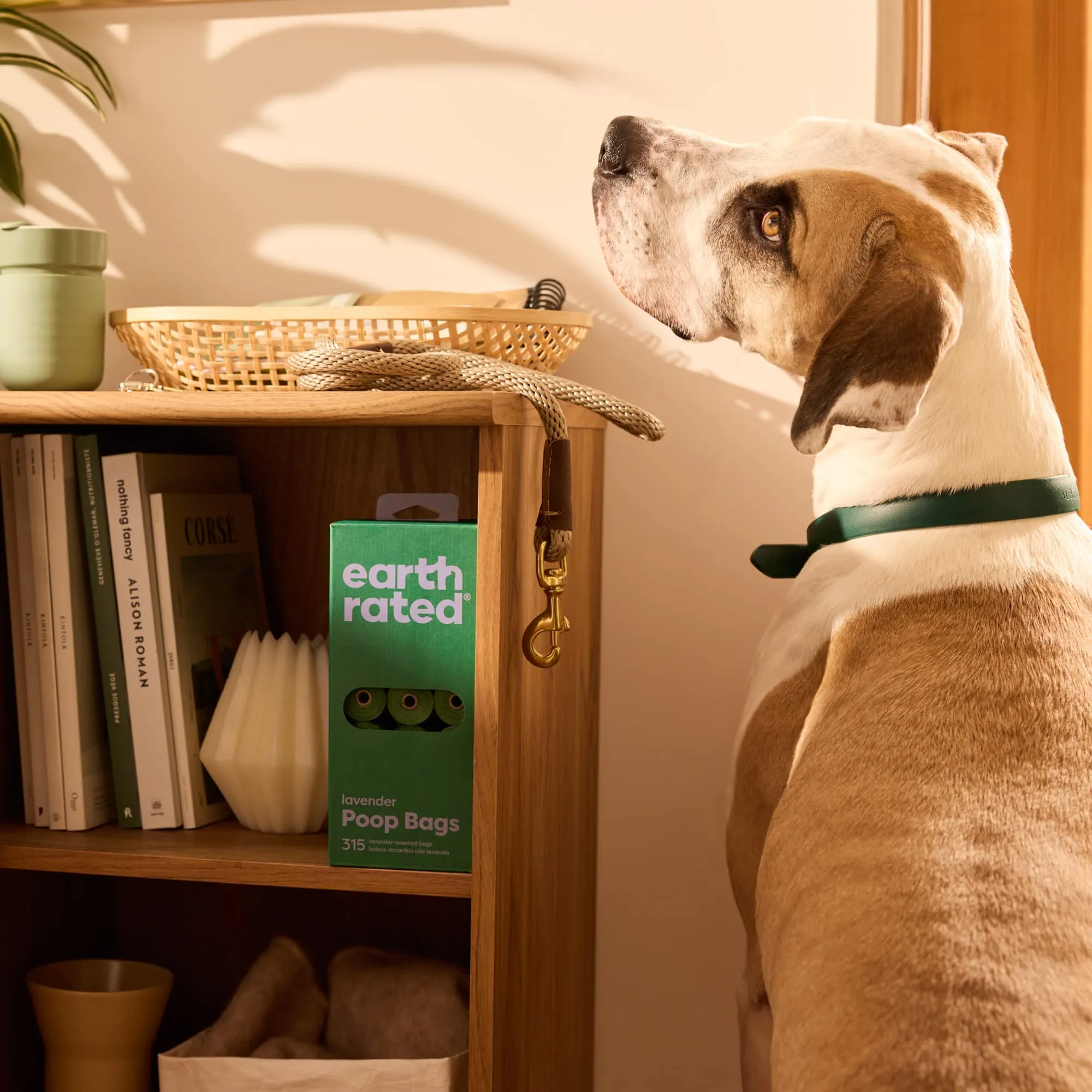 Earth Rated Sacchetti igienici per cani, a prova di perdite e extra resistenti, rotoli di ricarica in confezione convenienza, profumati alla lavanda, 315 pezzi - immagine 6