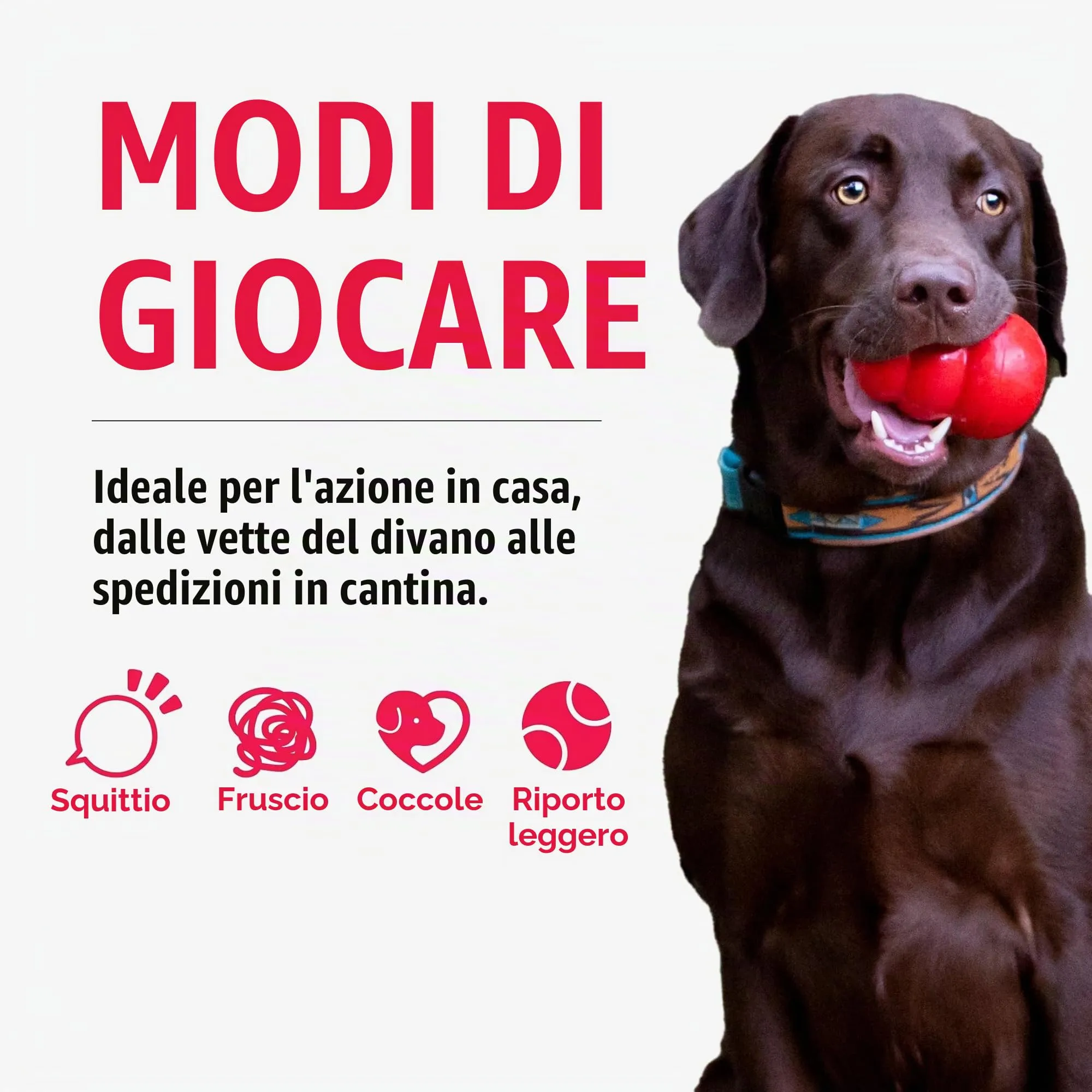 Kong - Sherps Lama - M - 1 Pezzo - immagine 4