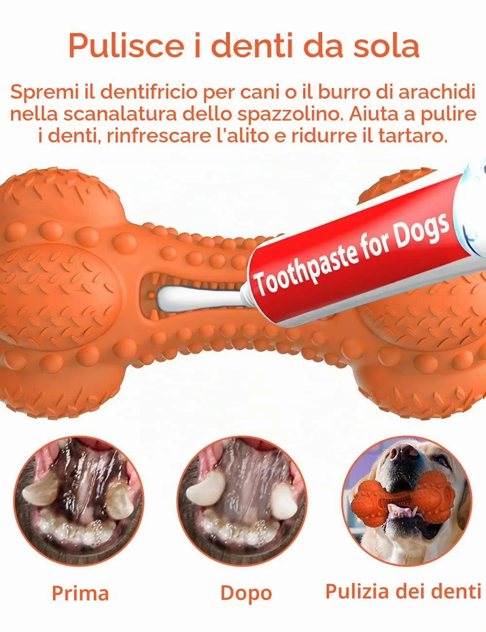SCHITEC Giocattoli per Cani con Squeaker & Gioco Interattivo - Indistruttibile Giocattolo da Masticare per Masticatori Aggressivi, con Osso in Gomma per Pulire i Denti per Cani Medi e Grandi - immagine 3