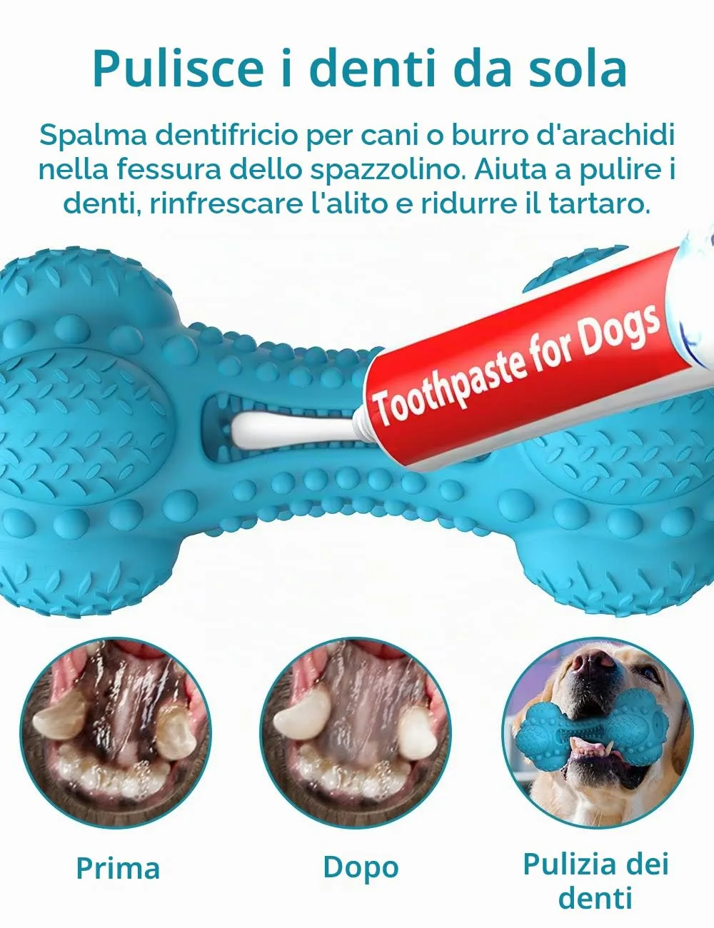 SCHITEC Giocattoli Indistruttibili per Cani - Gioco da Masticare Interattivo con Osso di Gomma e Squeaker, Ideale per Pulire i Denti e Svigorare Cani Medio-Grandi - immagine 3