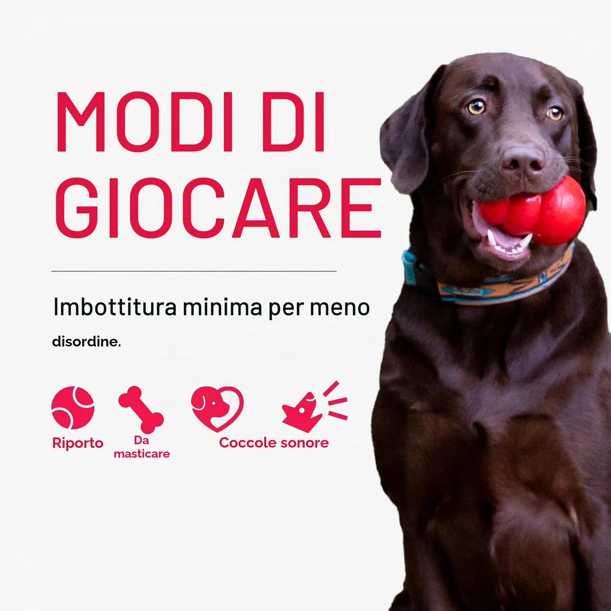 KONG Wild Knots Giraffa giocattolo per cani (S/M) - immagine 4