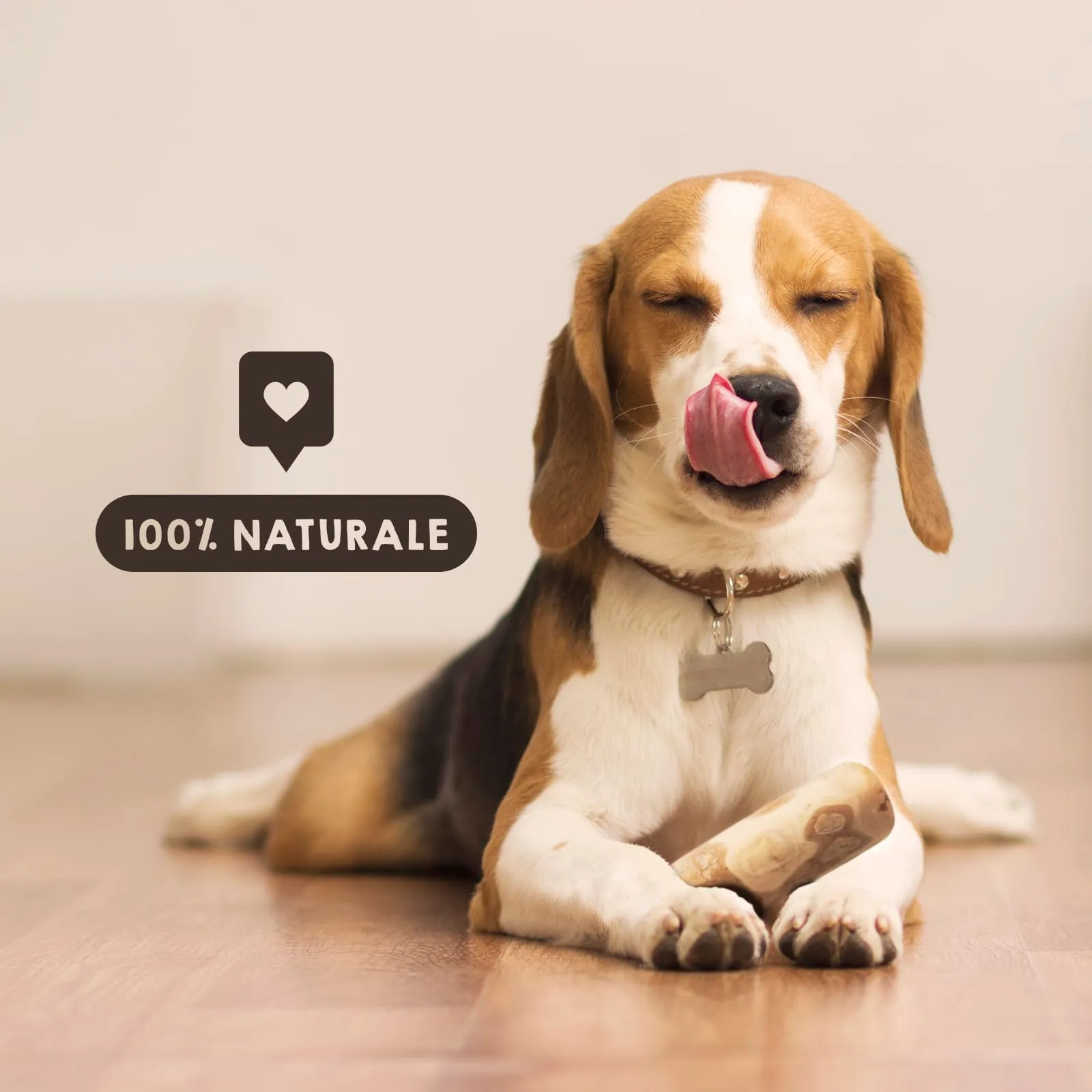 MAIKAI Legno di Caffè per Cani, 2 Masticativi Naturali, Taglia L - immagine 7