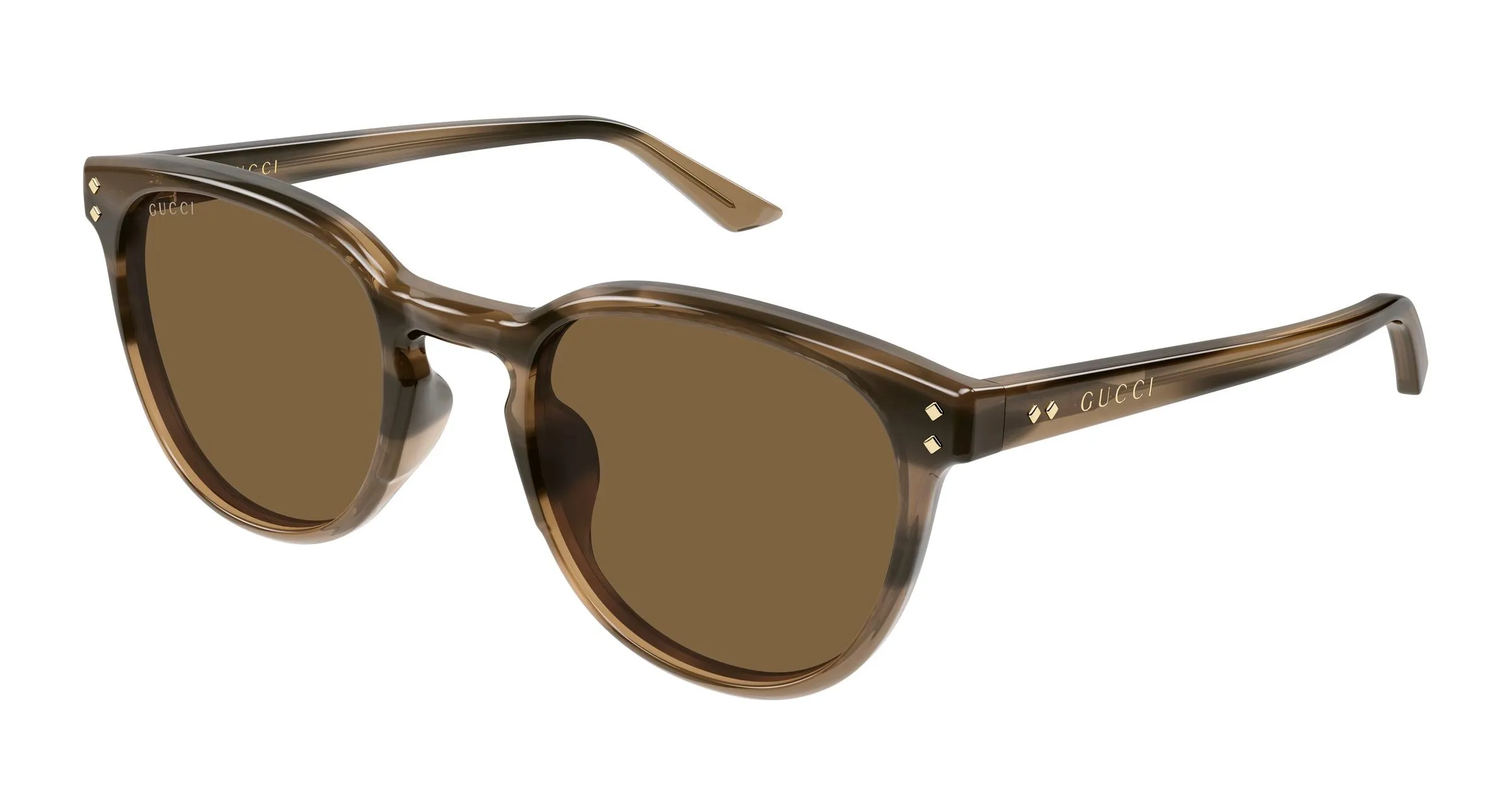 Gucci GG2134SA 003 Occhiali da sole Acetato Havana Marrone Rotonda - immagine 1