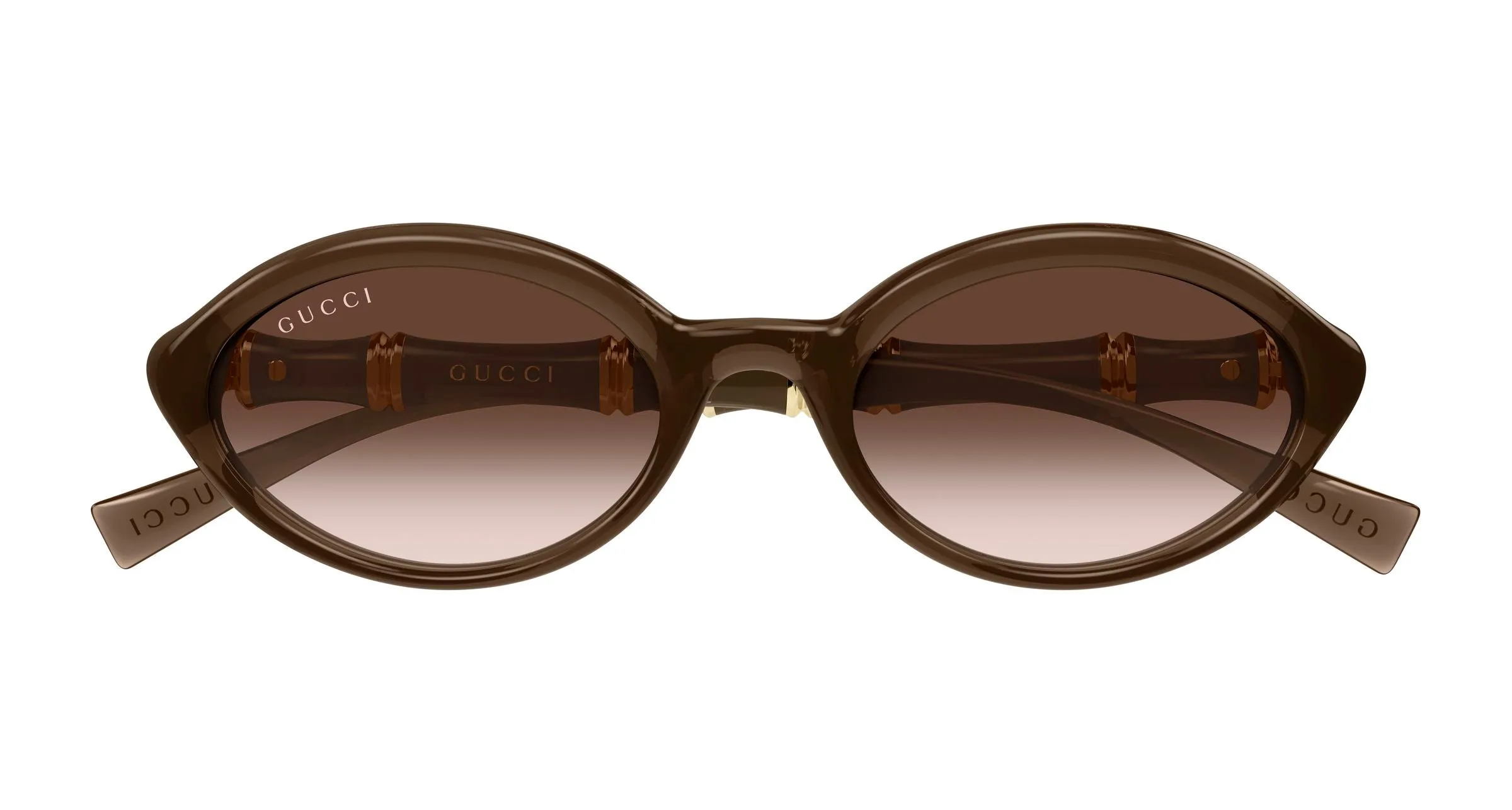 Gucci GG2059S 003 Occhiali da sole Iniettato Marrone Marrone Rotonda - immagine 2