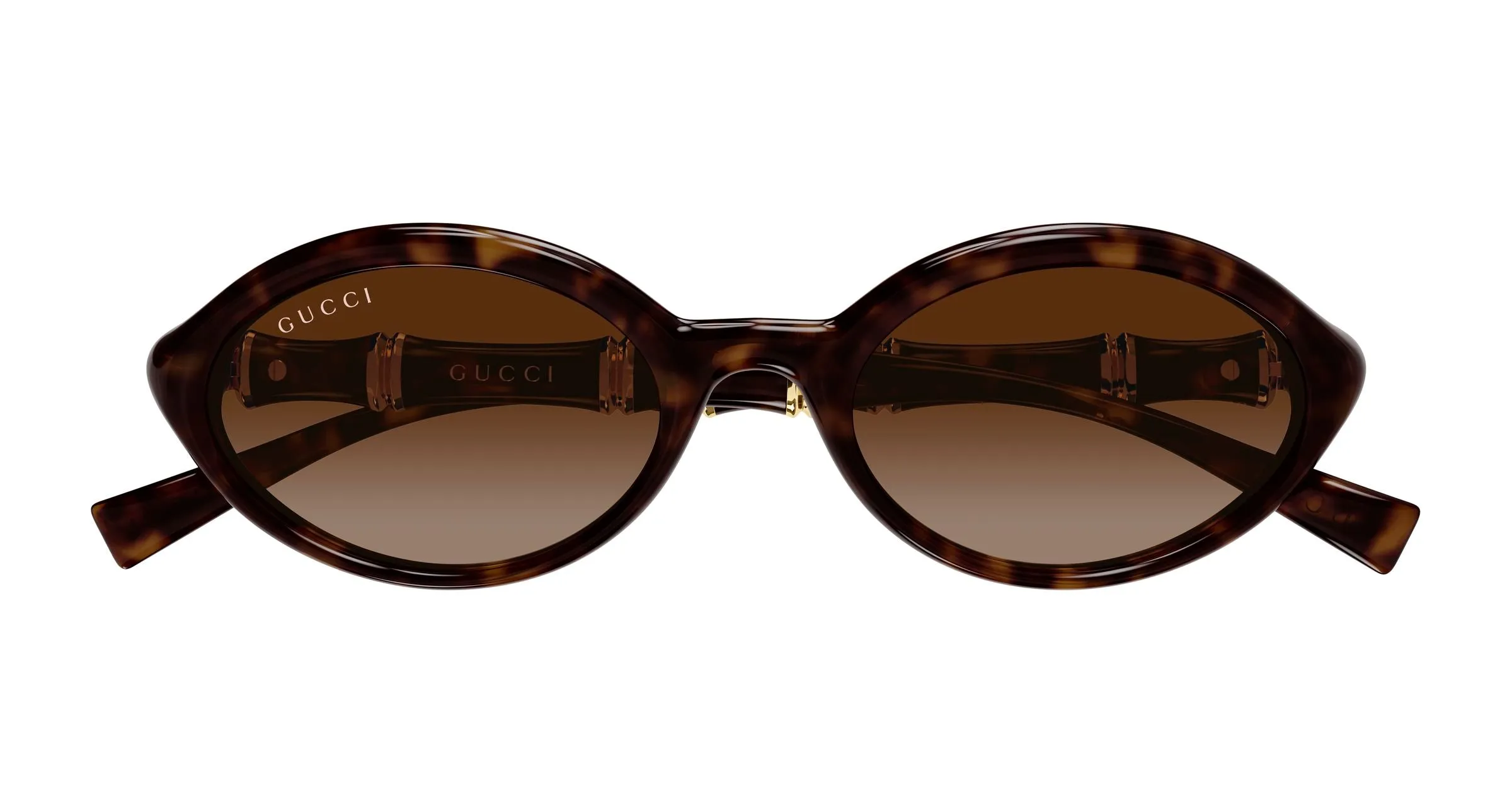 Gucci GG2059S 002 Occhiali da sole Iniettato Havana Marrone Rotonda - immagine 2