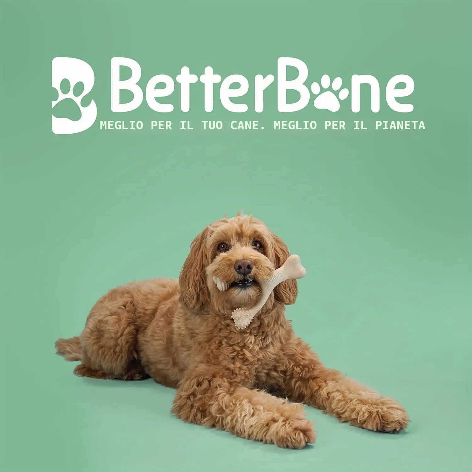 BetterBone - Giocattolo per cani da masticare - Mini Medium Classic - Veggie - Senza nylon e OGM a base di cellulosa - Giocattolo da masticare con gusto neutro medio - Senza schegge e ipoallergenico - immagine 2