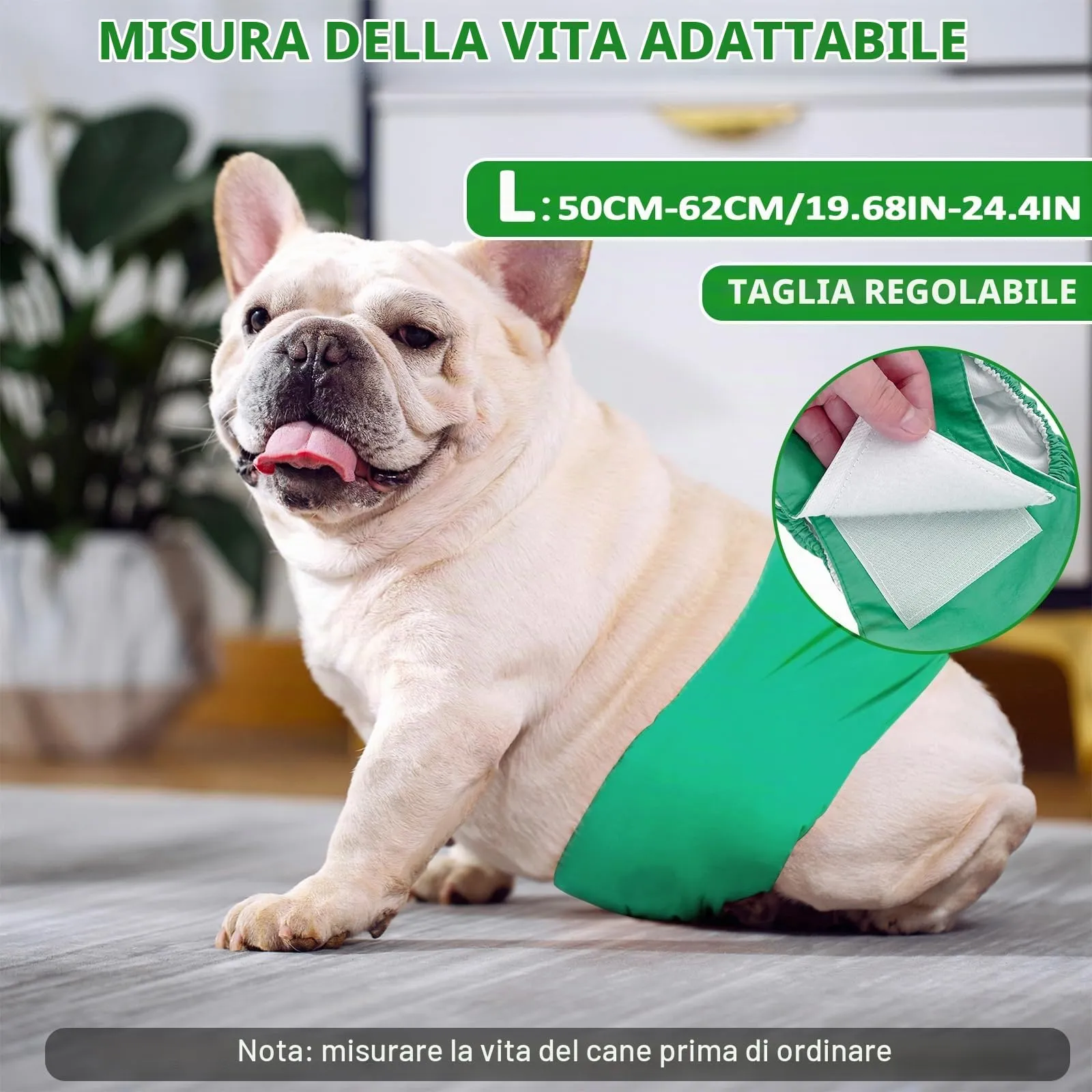Dalephoric 3 Pezzi Corbette Lavabili per Cane Maschio, Fascia Pancia, L - immagine 2