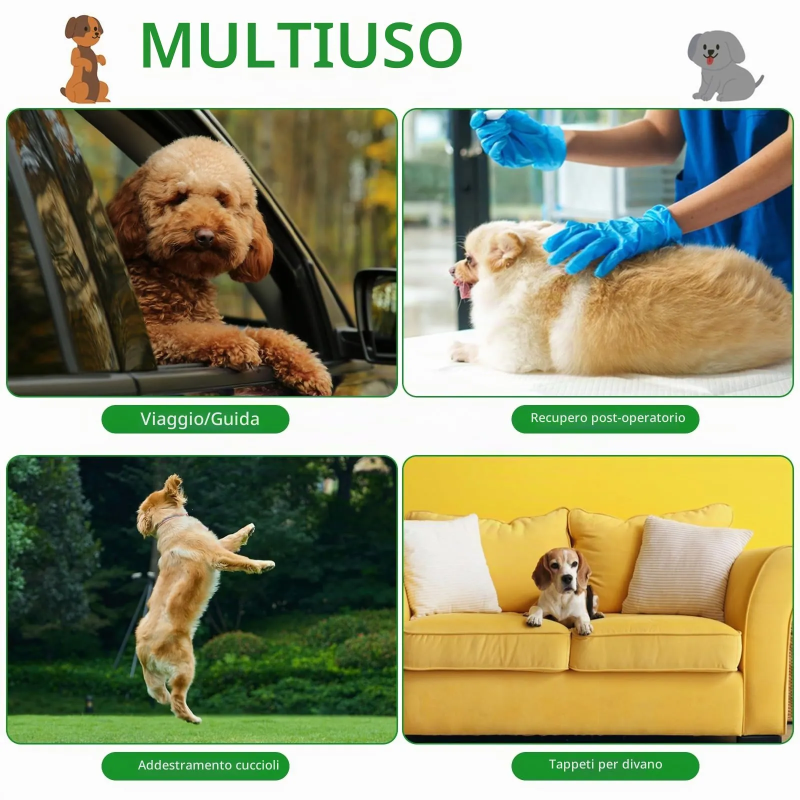 Dalephoric 3 Pezzi Corbette Lavabili per Cane Maschio, Fascia Pancia, L - immagine 7