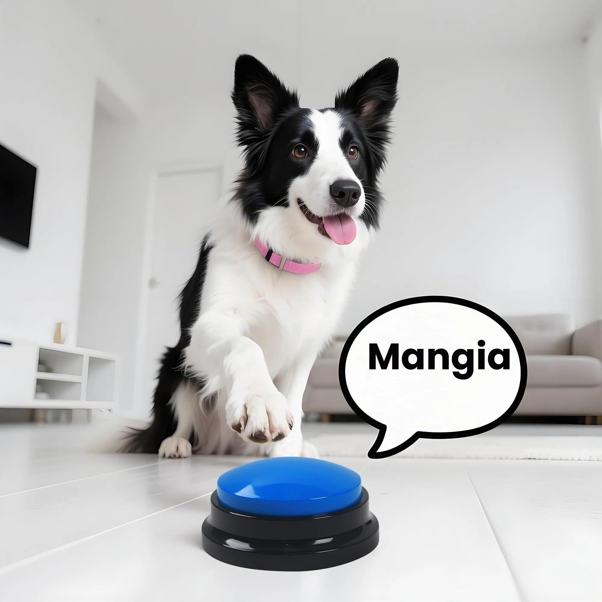DUBUOZA Buzzer Button con 30 Secondi di Registrazione e Riproduzione Buzzer con Funzione di Registrazione Pulsanti per Cani per Allenamento e Giochi per Animali Domestici (6) - immagine 4
