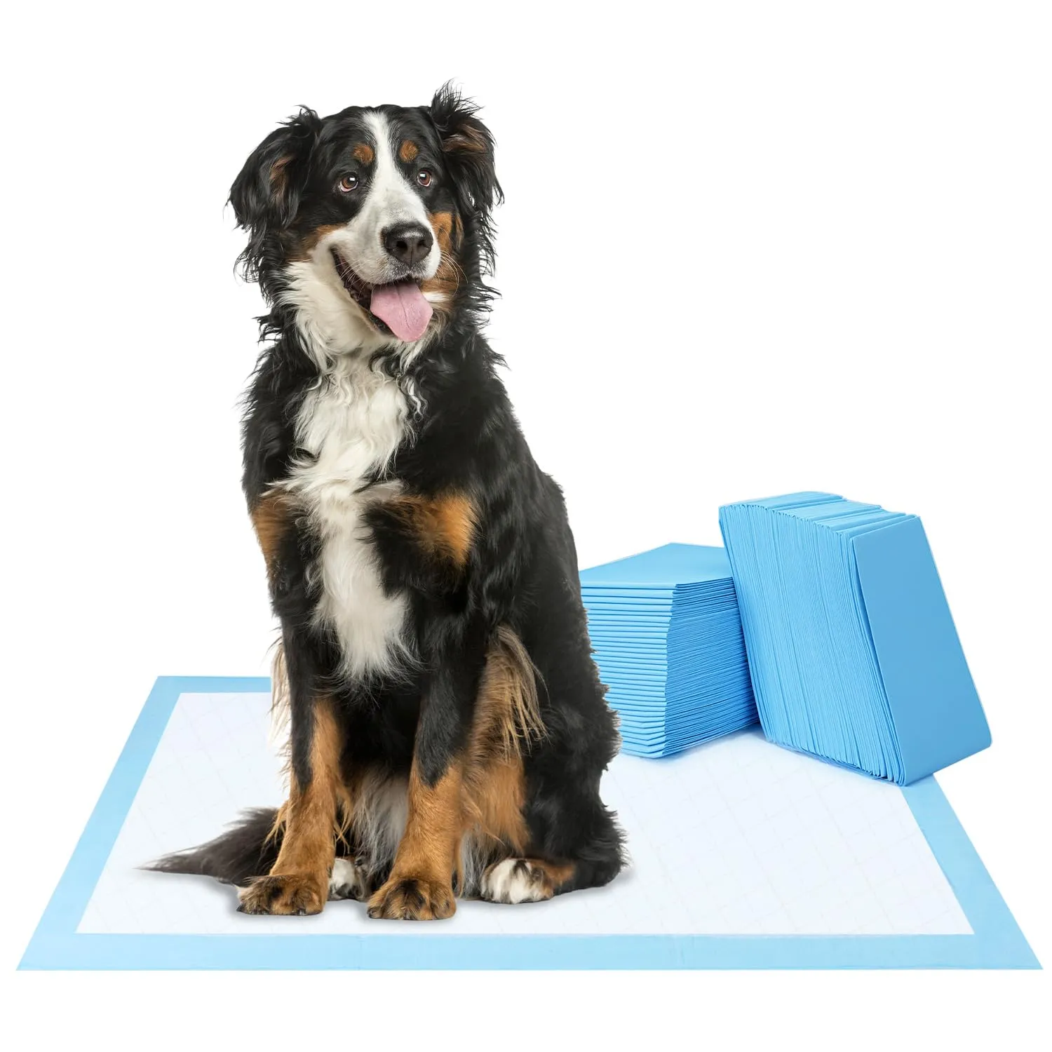 QWORK® 60 Pezzi Tappetini Igienici per Cani Monouso, 75 x 85 cm Tappetino Cane, Tappetini per Pipì Altamente Assorbenti, per Cani di Piccola e Media Taglia - immagine 1