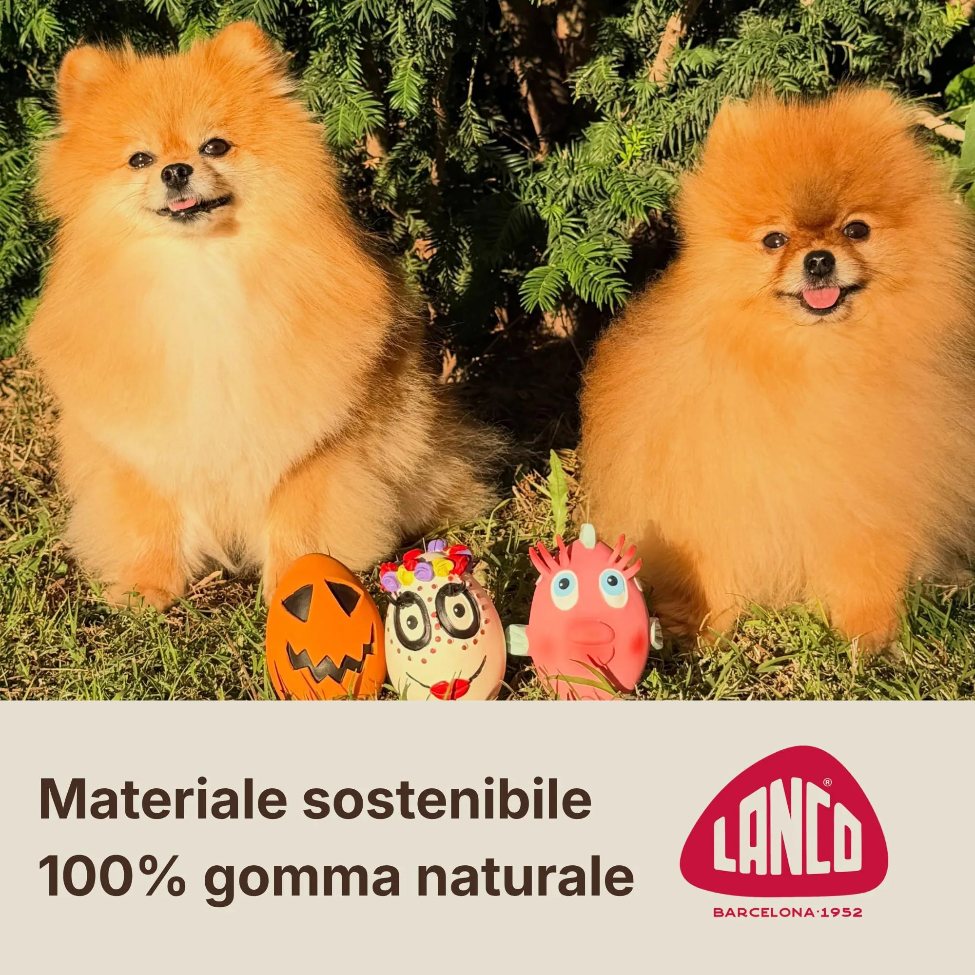 Lanco Uovo Catrina, Gioco Cane Caucciù Naturale con Suono - immagine 2