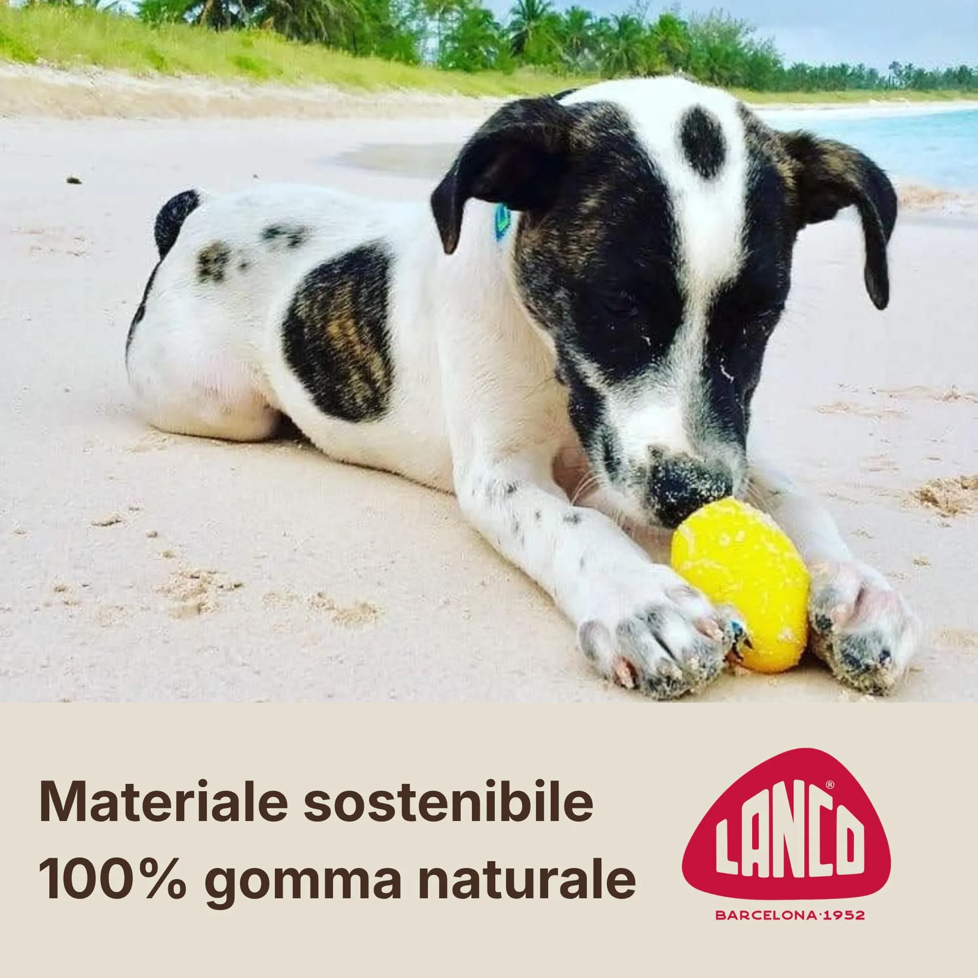 Lanco Uovo Frankie, Gioco Cane Caucciù Naturale con Suono - immagine 2