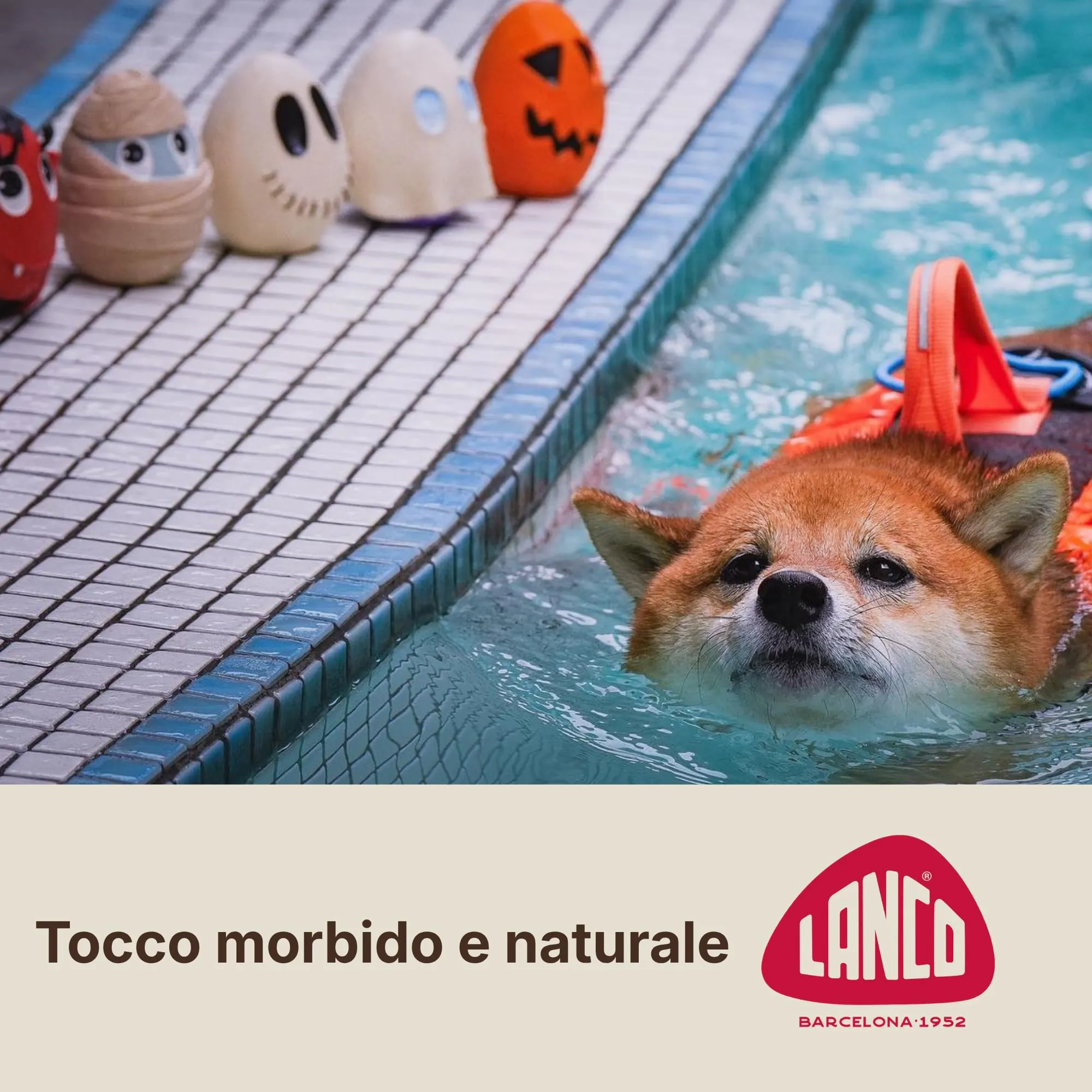 Lanco Uovo Mummia, Gioco Cane Caucciù Naturale con Suono - immagine 4