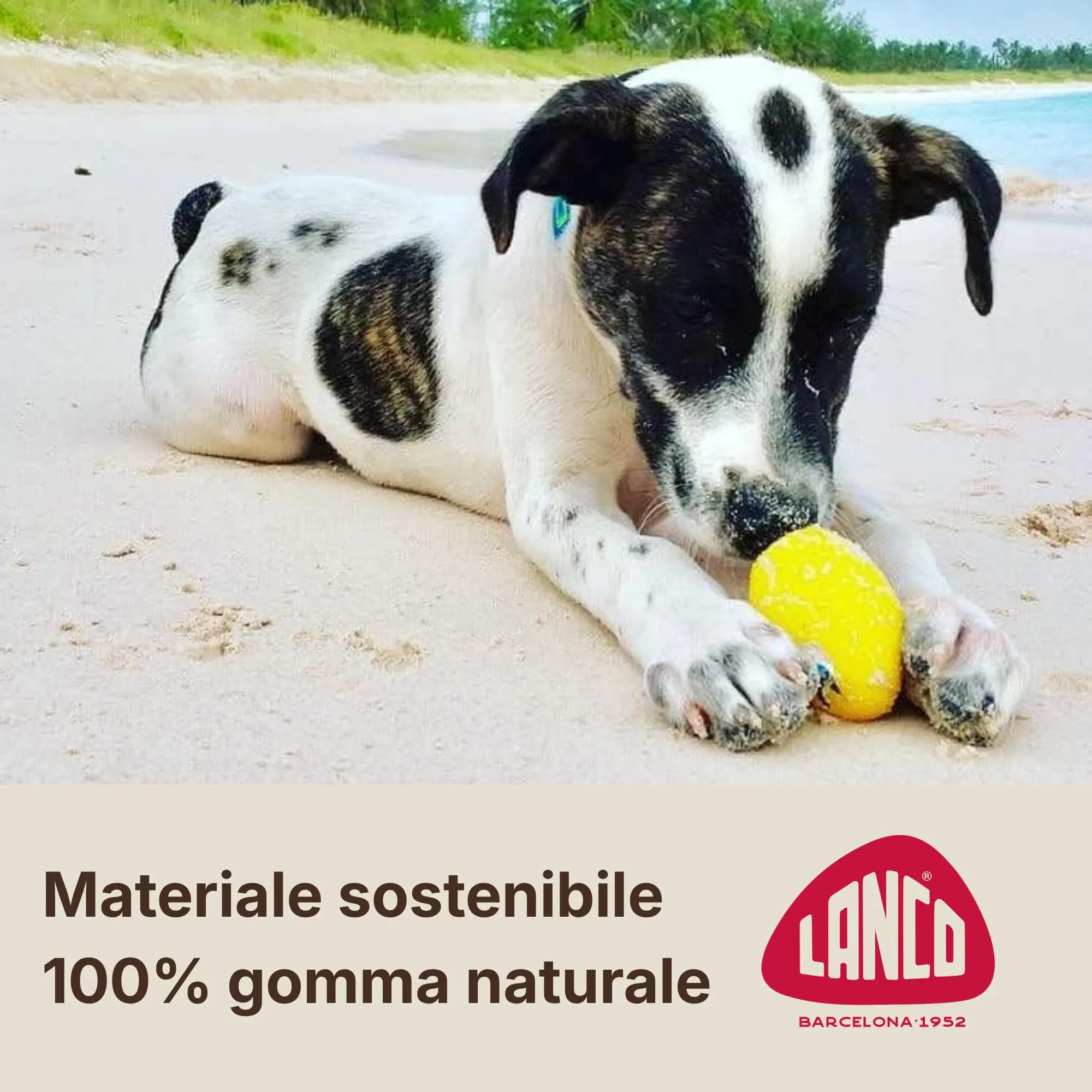 Lanco Uovo Zucca, Gioco Cane Caucciù Naturale con Suono - immagine 2
