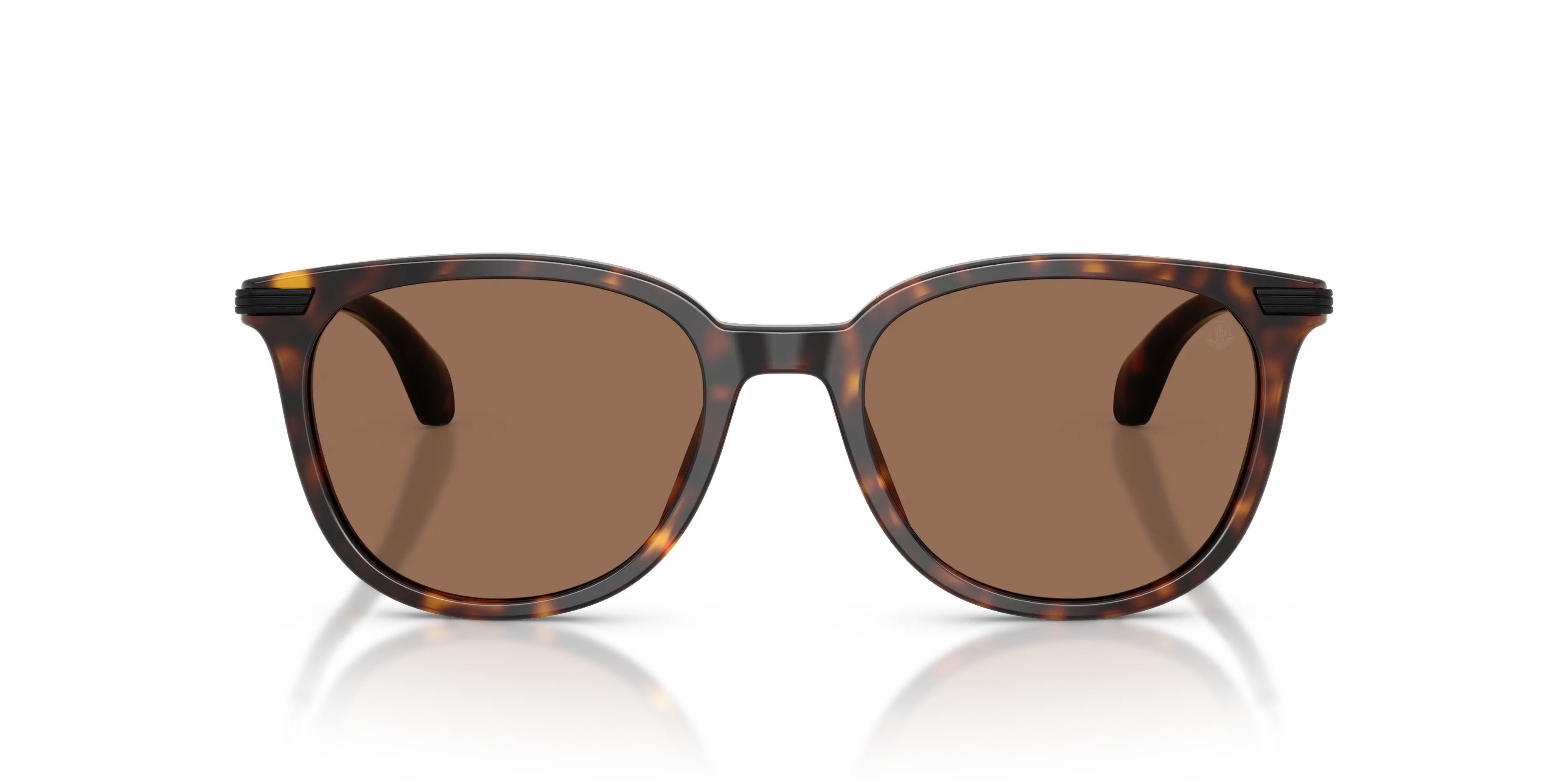 Moncler ME6013 KORRA 300273 Occhiali da sole Acetato Tartaruga Marrone Rotonda Normale - immagine 3