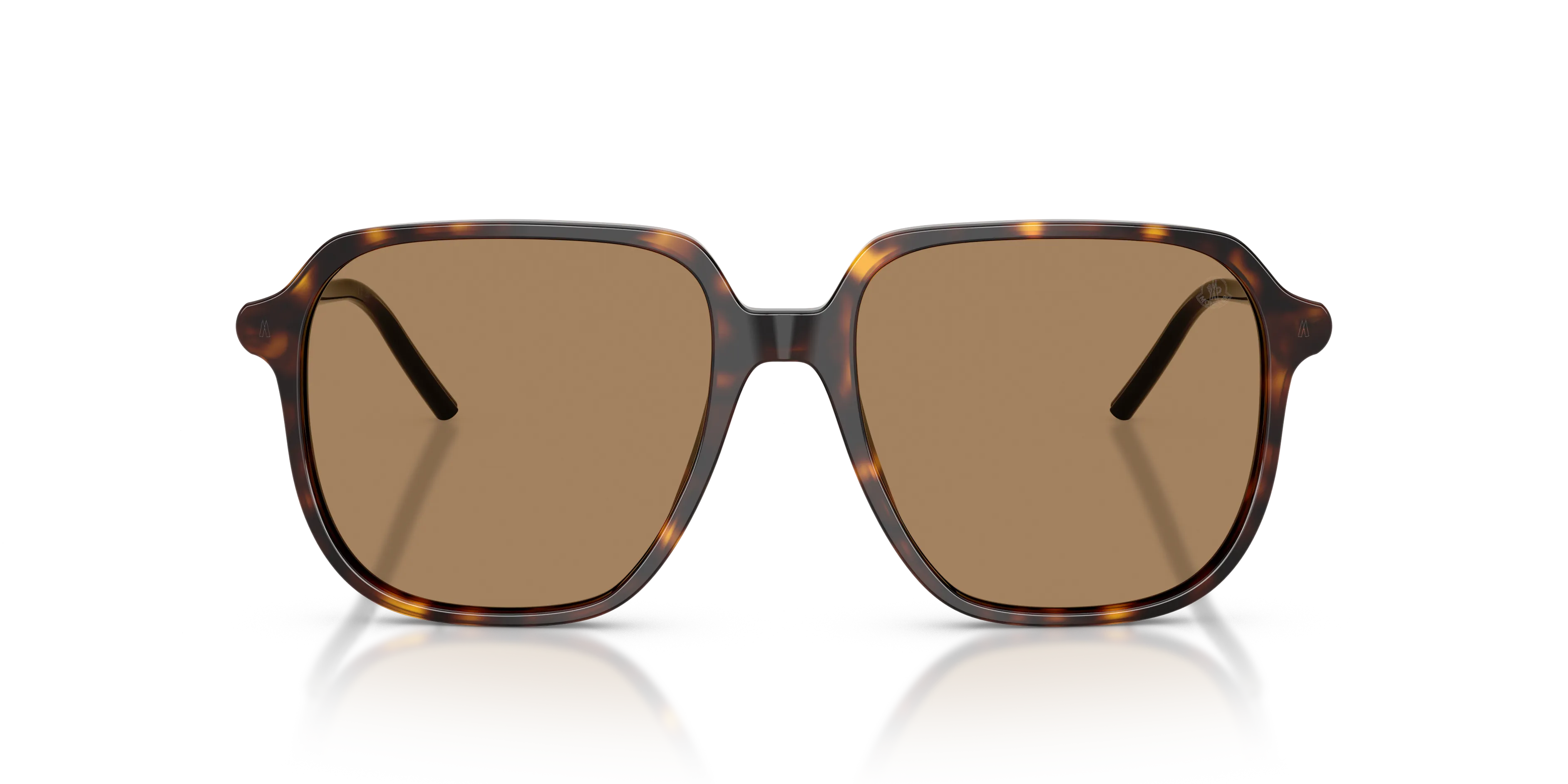 Moncler ME6010 CYLIN 3002M4 Occhiali da sole Acetato Tartaruga Marrone Pilot Fotocromatiche - immagine 3