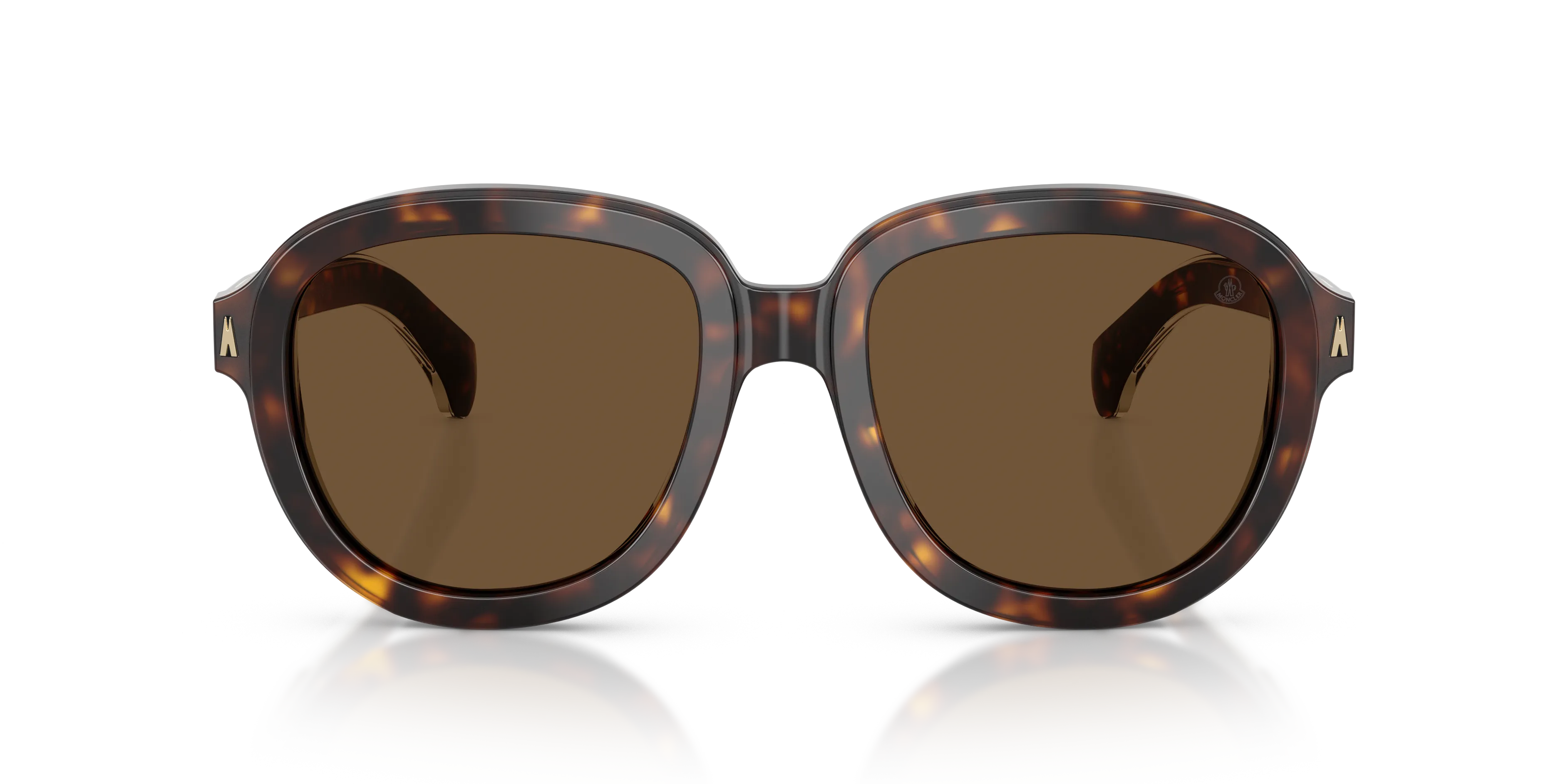 Moncler ME6007U CIRSEE 300273 Occhiali da sole Acetato Tartaruga Marrone Pilot Normale - immagine 3