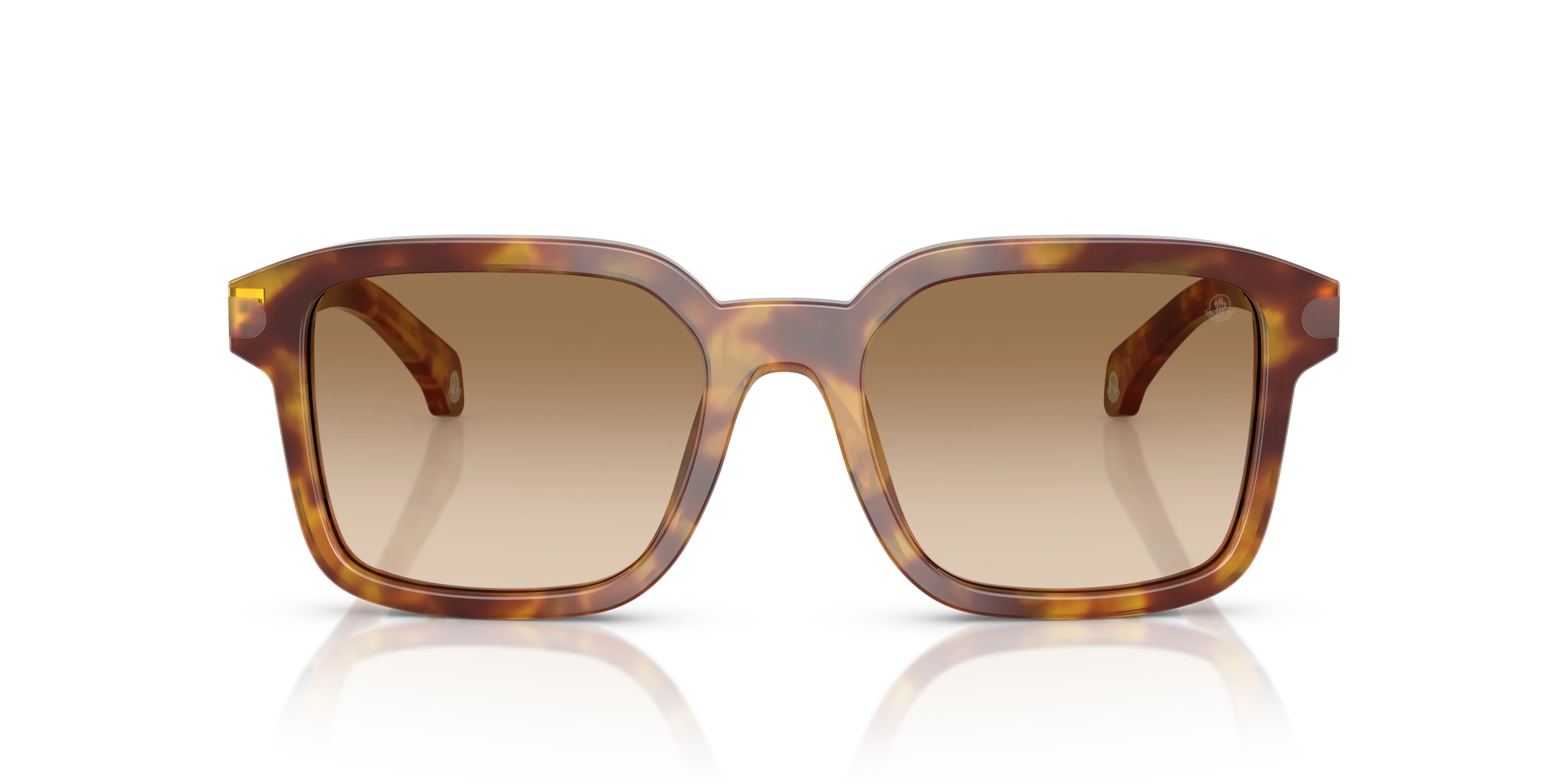Moncler ME6006 QUADERNA 301189 Occhiali da sole Acetato Tartaruga Marrone Squadrata Normale Sfumato - immagine 3