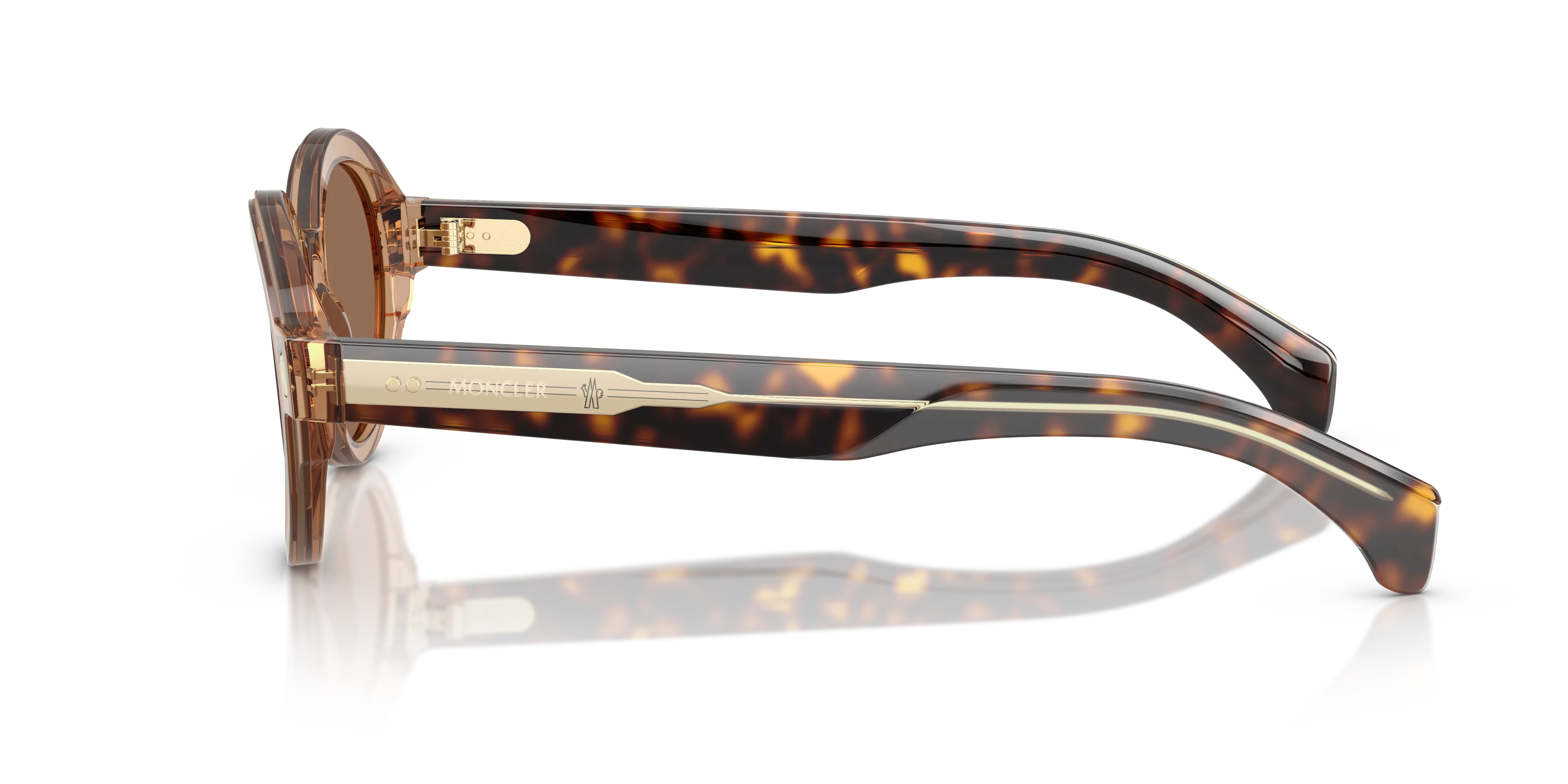 Moncler ME6003 RONDOSA 303773 Occhiali da sole Acetato Marrone Marrone Rotonda Normale - immagine 4