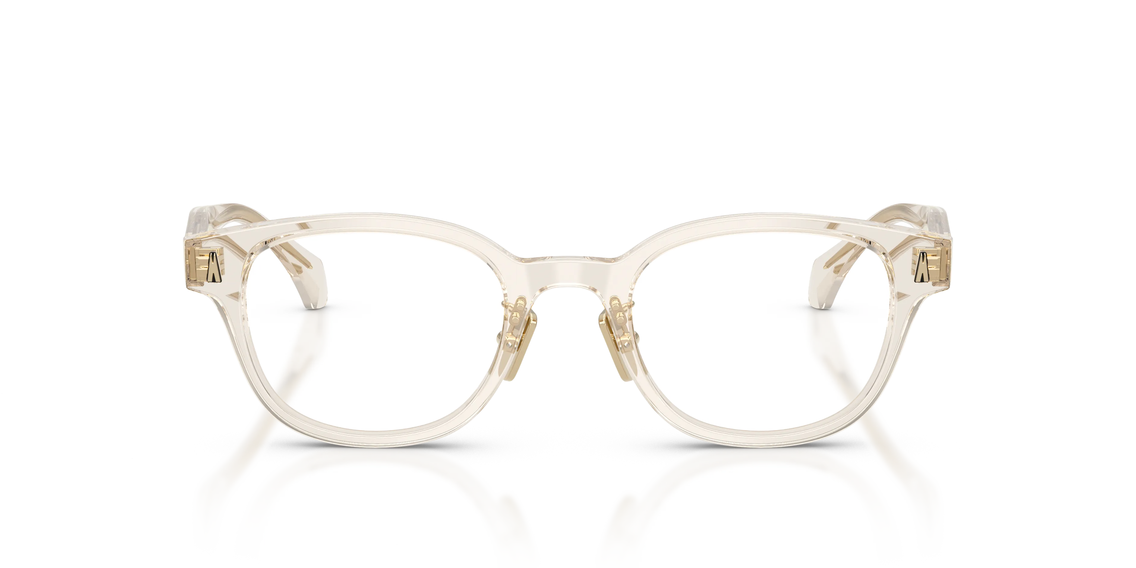 Moncler ME2021D 3003 Montature da vista Acetato Marrone Trasparente Rotonda Normale - immagine 3