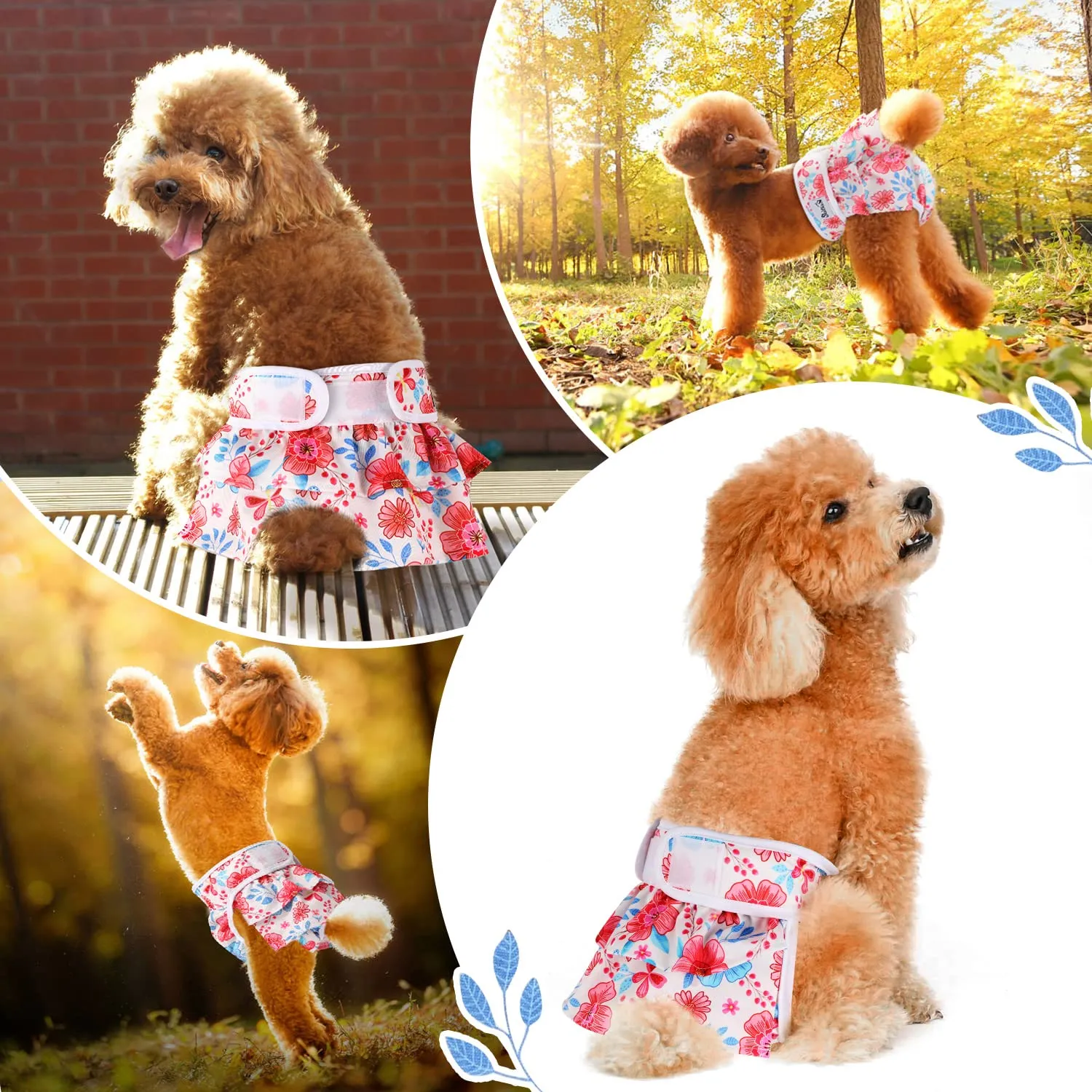 SlowTon Pannolino lavabile per cani - immagine 6