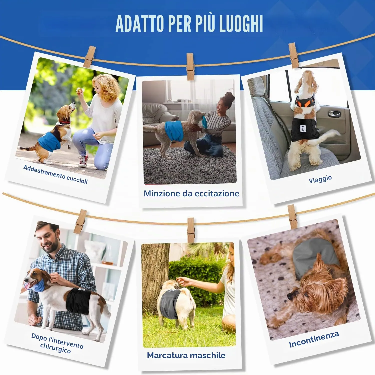 Slowton Male Dog Diapers Wraps, Pannolini lavabili fasce per la pancia con cuscinetti aggiuntivi, Pannolini altamente assorbenti con chiusura flessibile, confezione da 5 - immagine 6