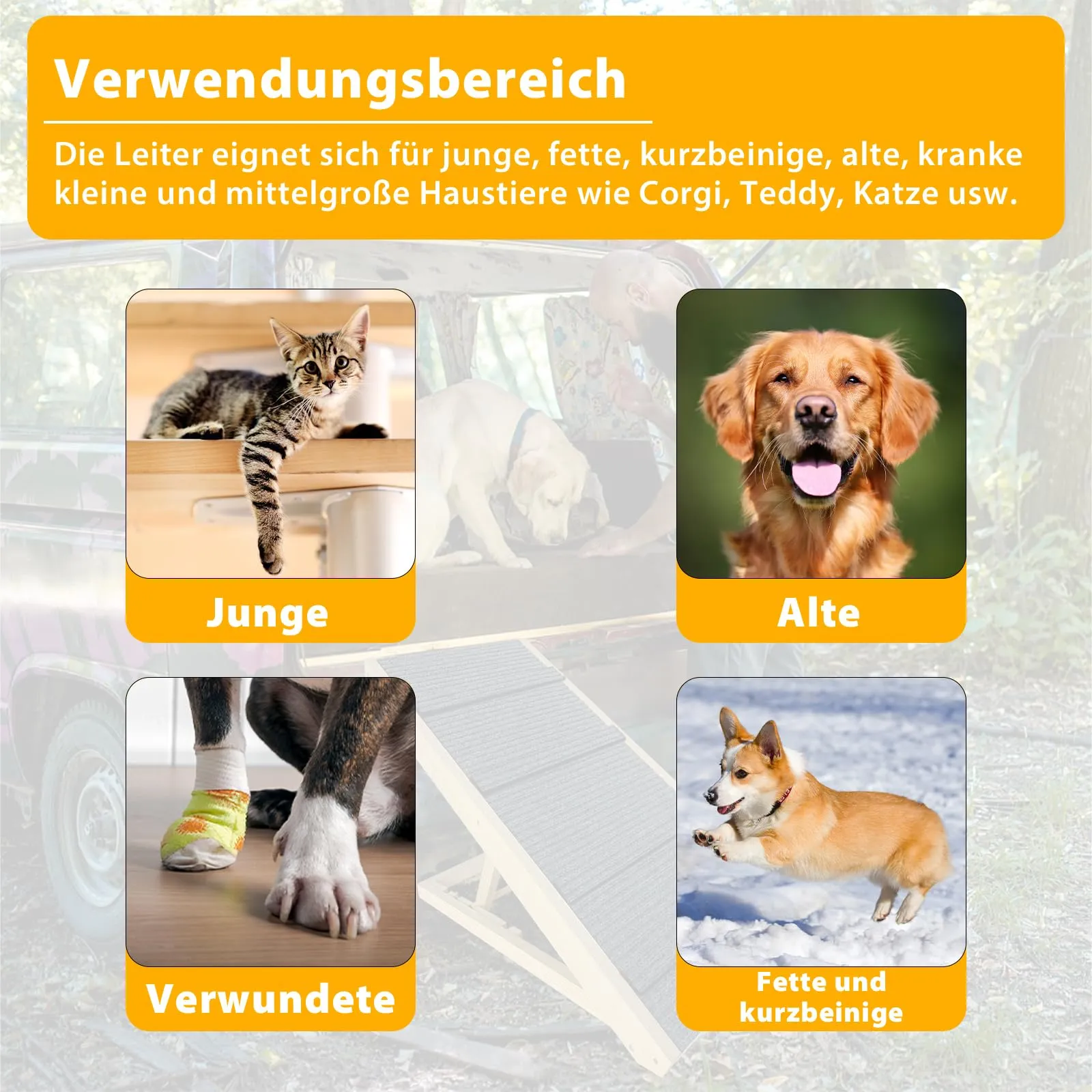 LZQ Scala per cani pieghevole per cani e gatti di piccola taglia, scala portatile regolabile in altezza in legno con tappeto antiscivolo per letto e divano, lunghezza 100 cm - immagine 4