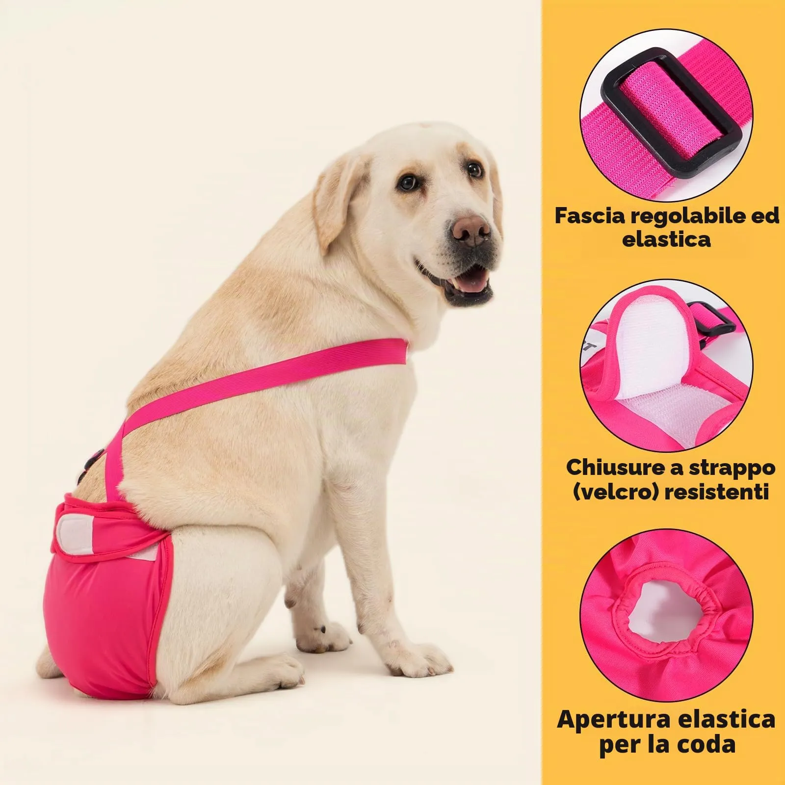 Avont 3 Pezzi Pannolini Cane Femmina Regolabili con Cinghie, Mutandine Cane Femmina Calore Altamente Riutilizzabili -M Nero/Rosa/Viola - immagine 3