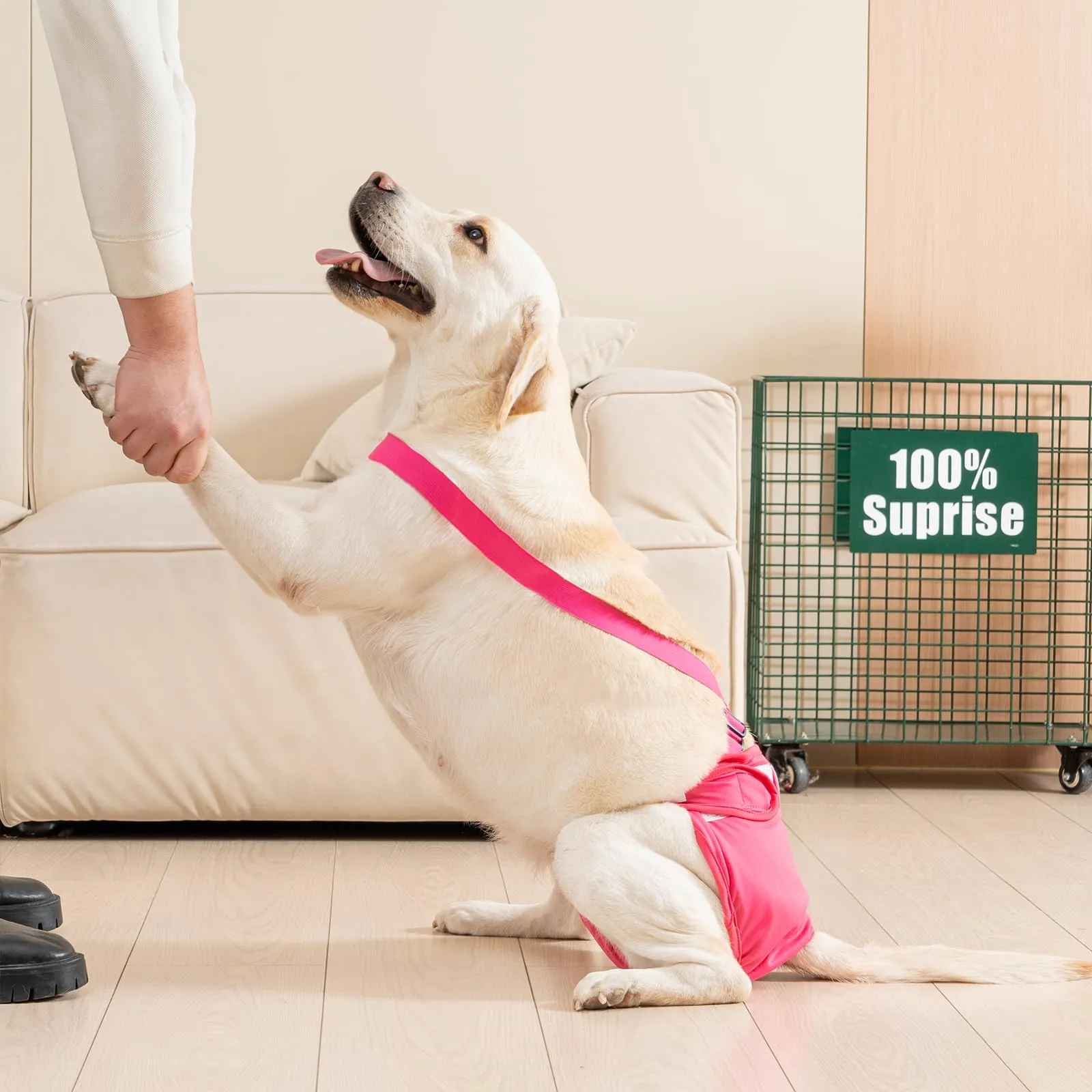 Avont 3 Pezzi Pannolini Cane Femmina Regolabili con Cinghie, Mutandine Cane Femmina Calore Altamente Riutilizzabili -XL Nero/Rosa/Viola - immagine 7