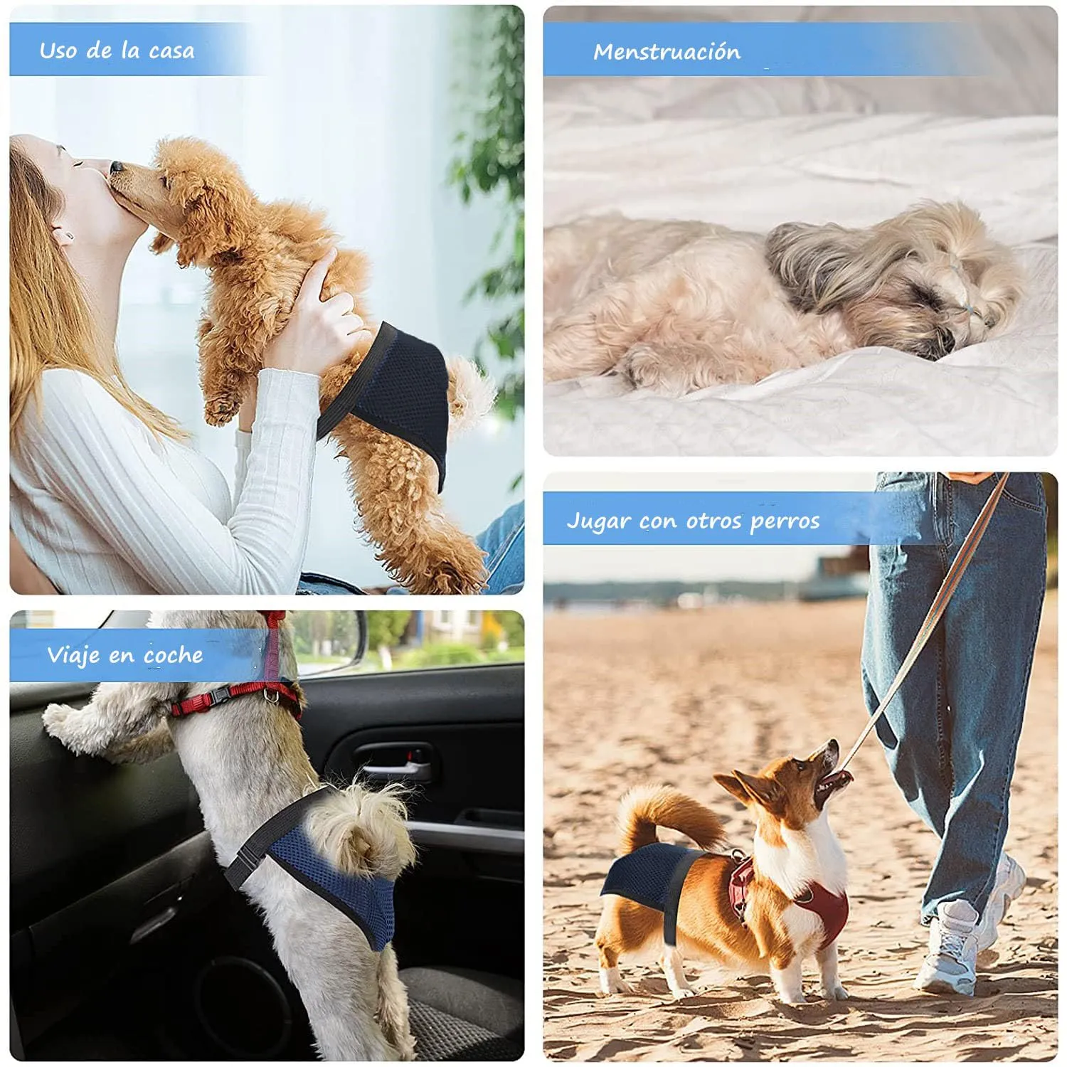 Voarge - Mutandine igieniche per cani con 3 salviette igieniche, lavabili, pannolini sanitari per cani femmina (Nero, S) - immagine 5