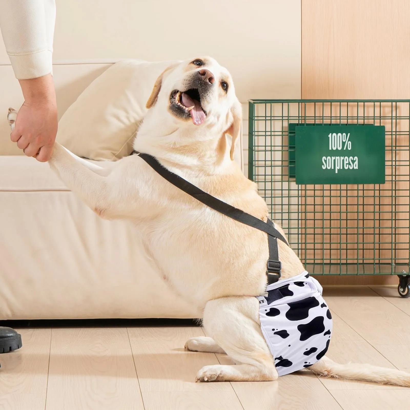 Avont 3 Pezzi Pannolini Cane Femmina Regolabili con Cinghie, Mutandine Cane Femmina Calore Altamente Riutilizzabili -L Verde/Bianco/Viola - immagine 7